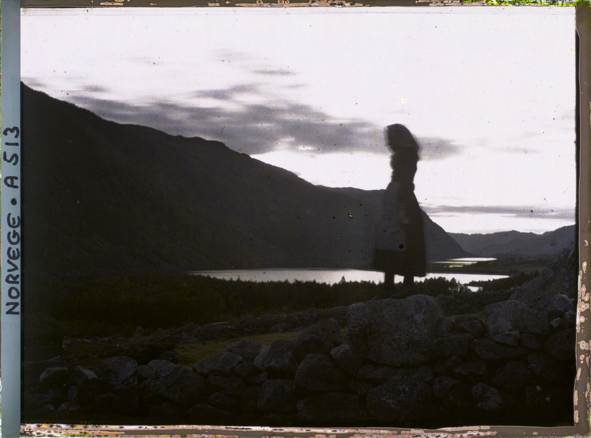 Image représentant Silhouette d'une jeune fille