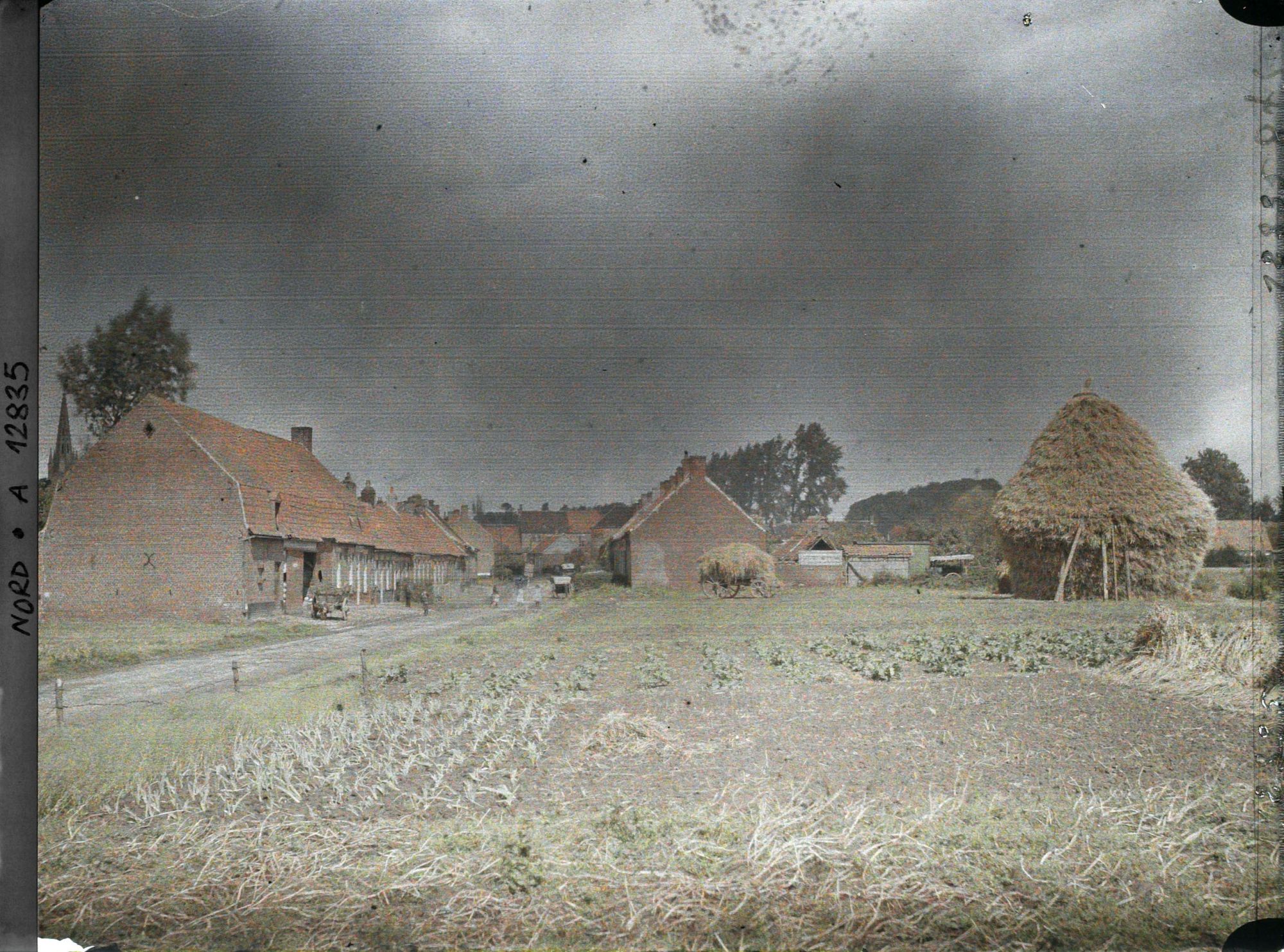 Image représentant France, Rexpoède, Vue Générale