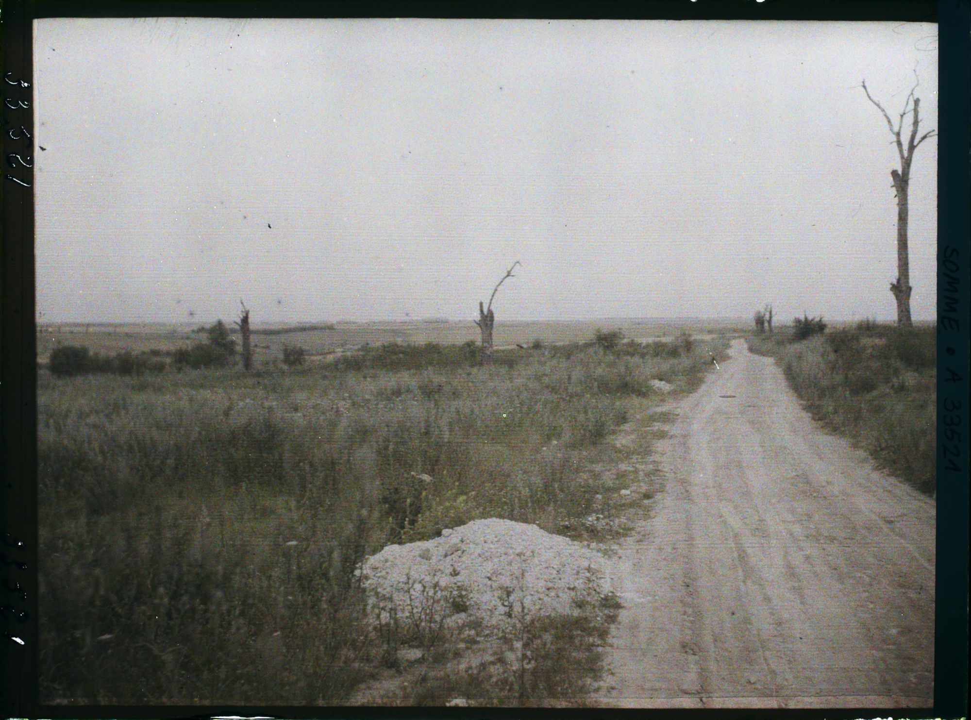 Image représentant France