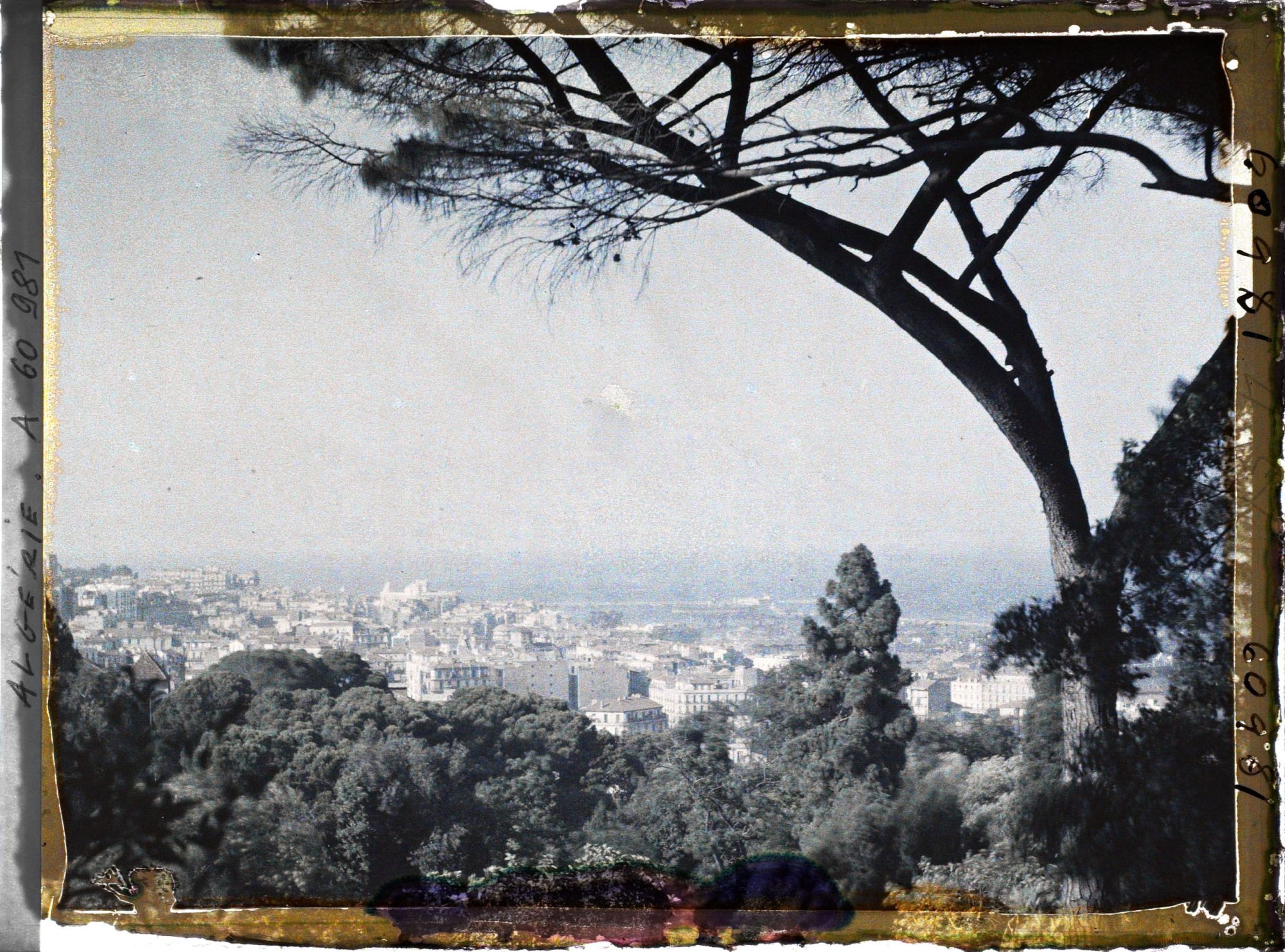 Image représentant La basse ville vue des jardins du palais d'été du Gouverneur
