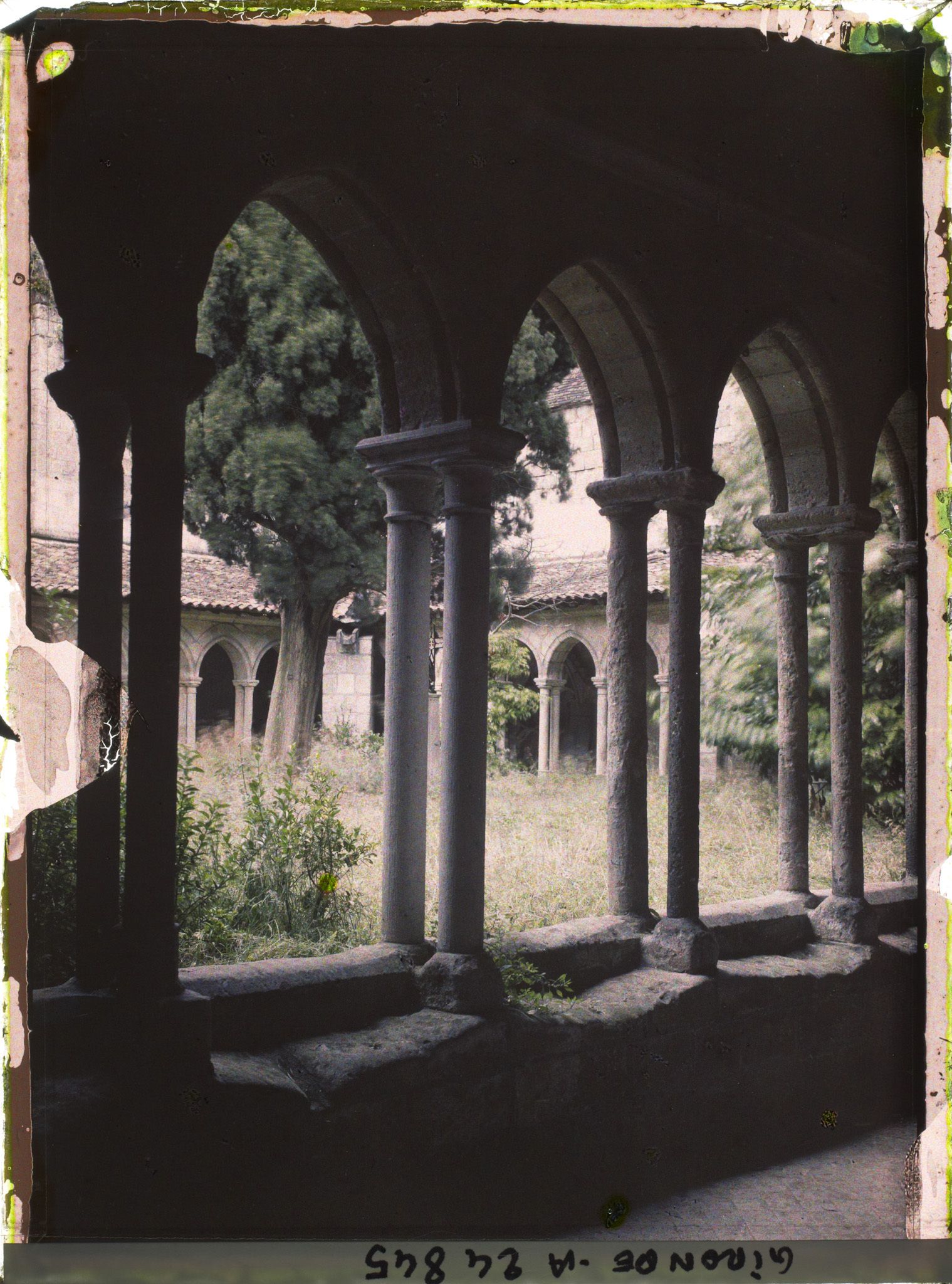 Image représentant Le cloître de l'église collégiale