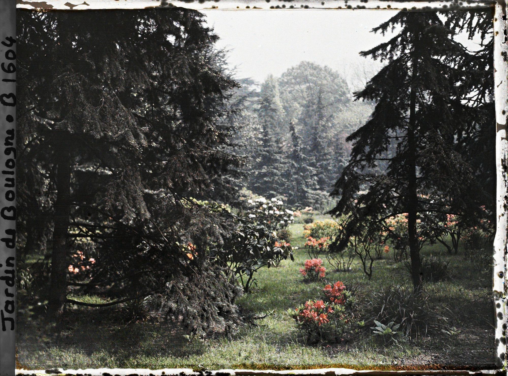 Image représentant jardins