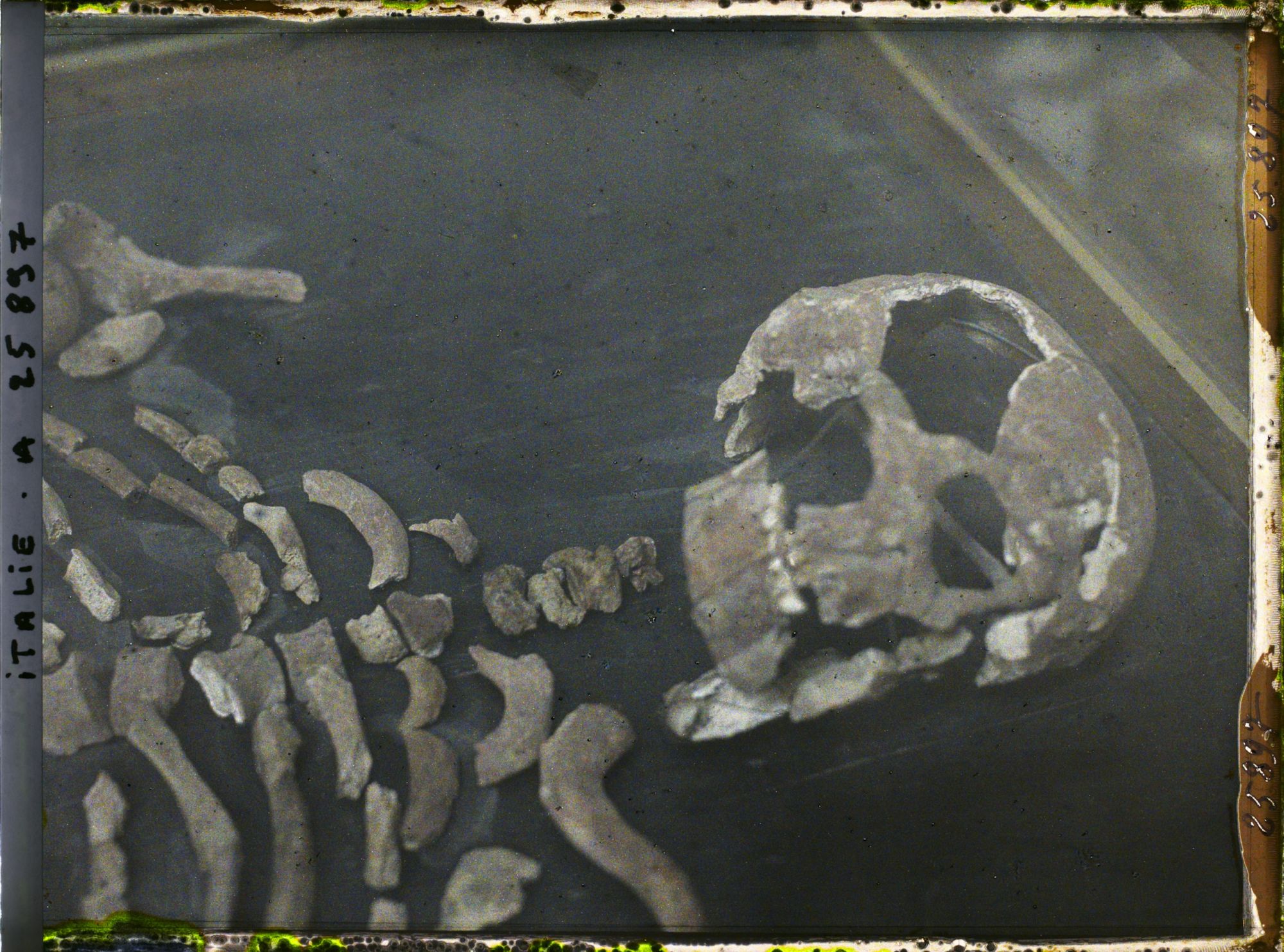 Image représentant Squelette grotte Barma Grande