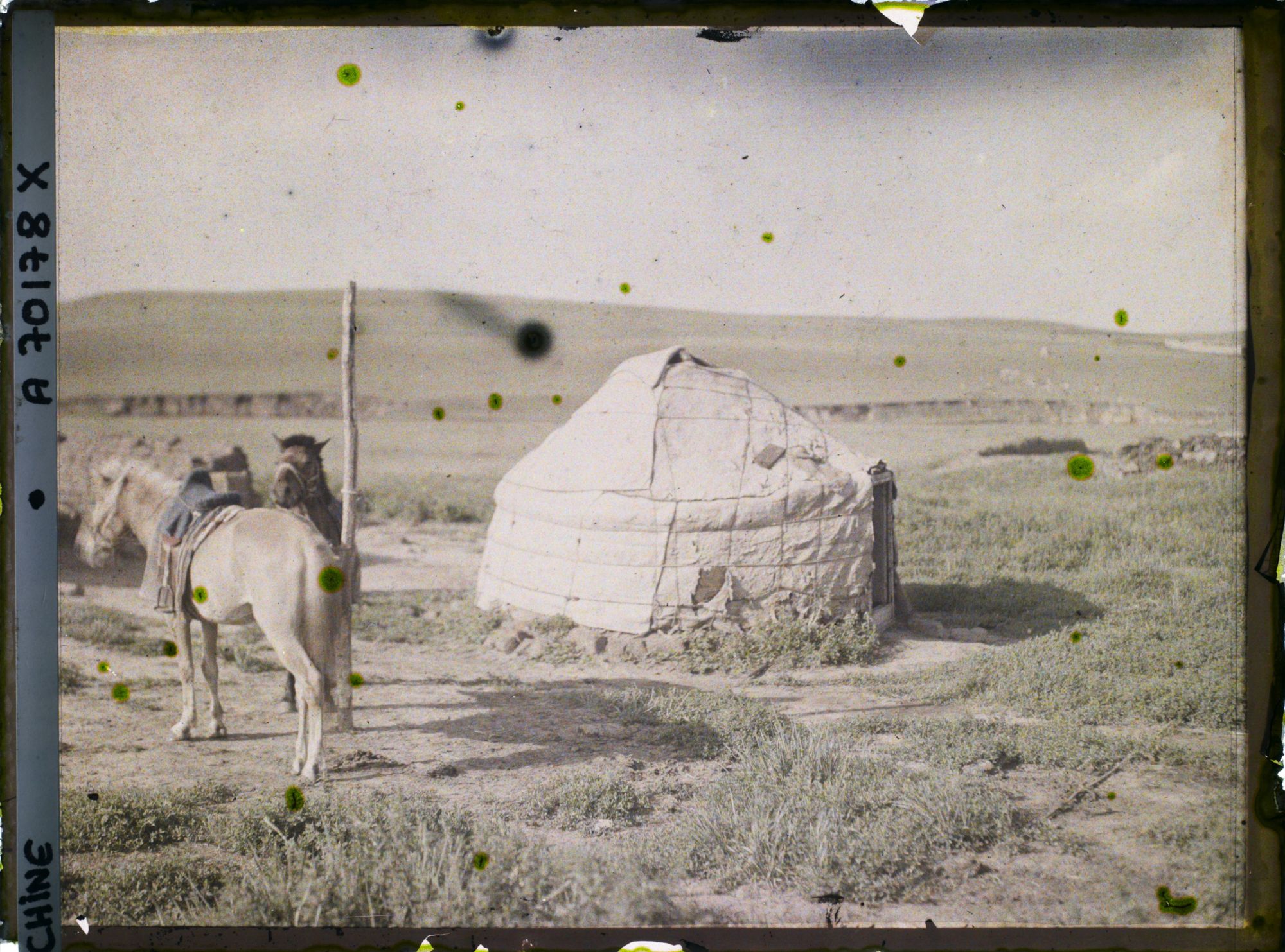 Image représentant Dans la steppe