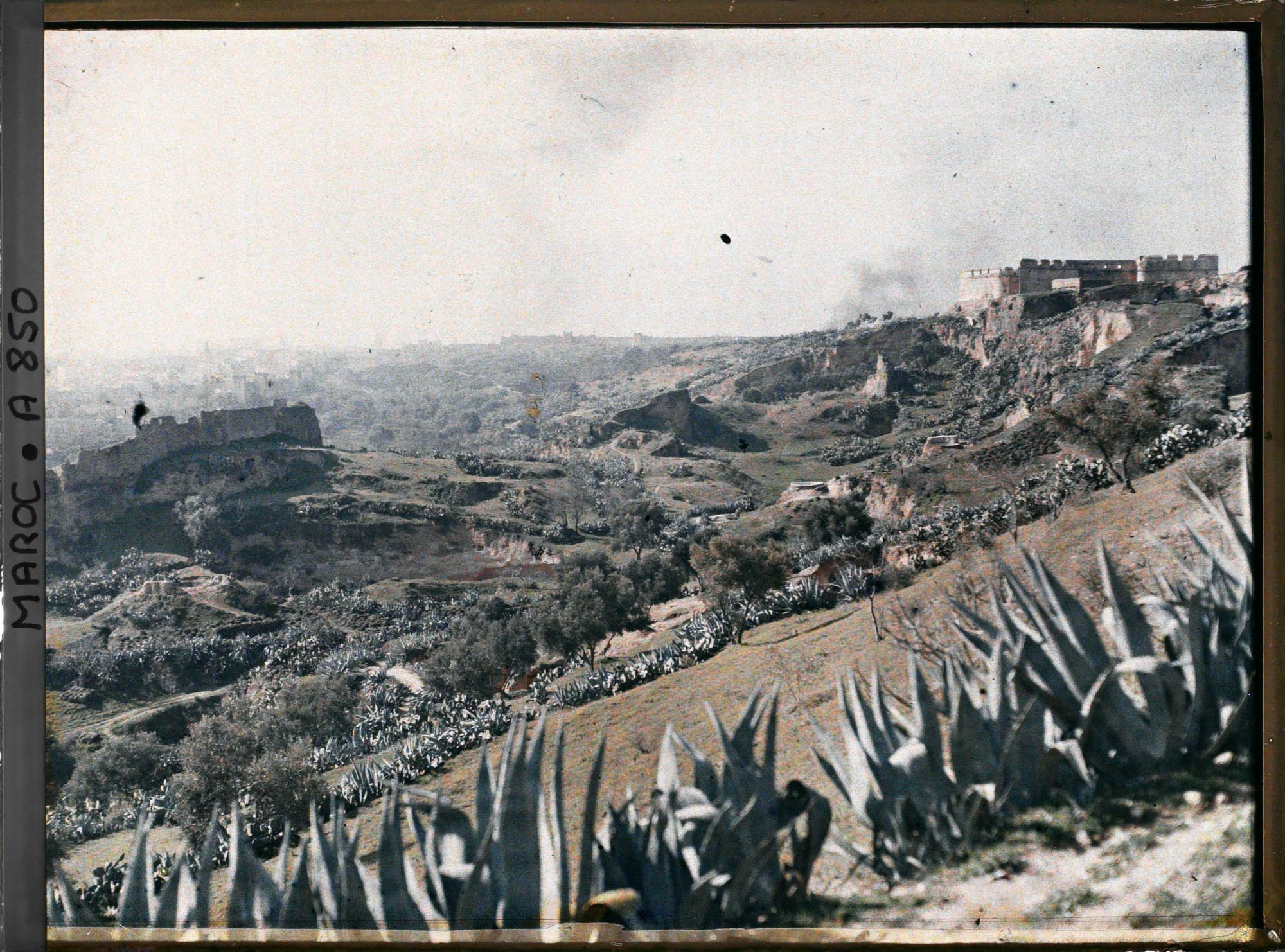 Image représentant Le Bordj Nord