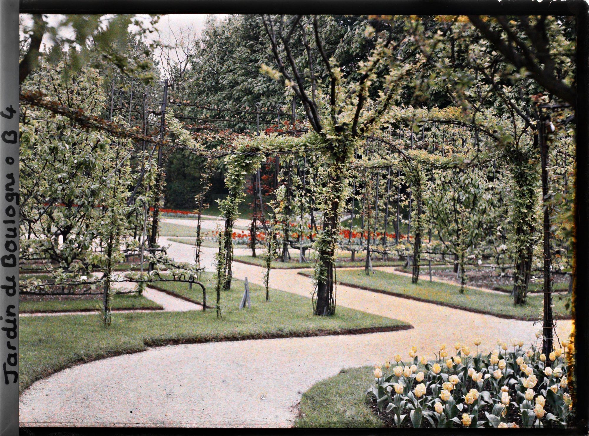Image représentant Rond-point fleuri et partie est du verger-roseraie, proches du jardin français