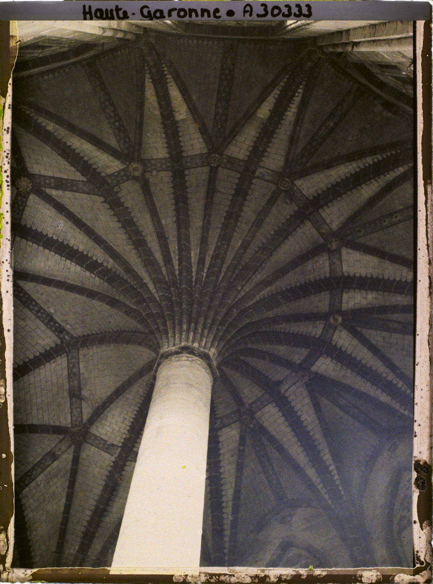 Image représentant Le palmier, voûte gothique de l'église des Jacobins