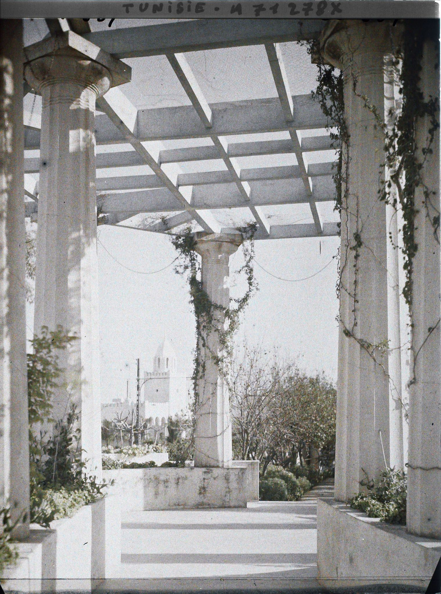 Image représentant La pergola du palais d'été du résident général