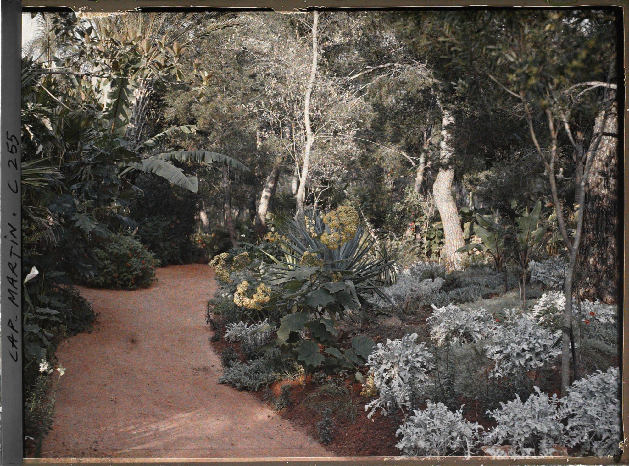 Image représentant Cap-Martin - Le Jardin