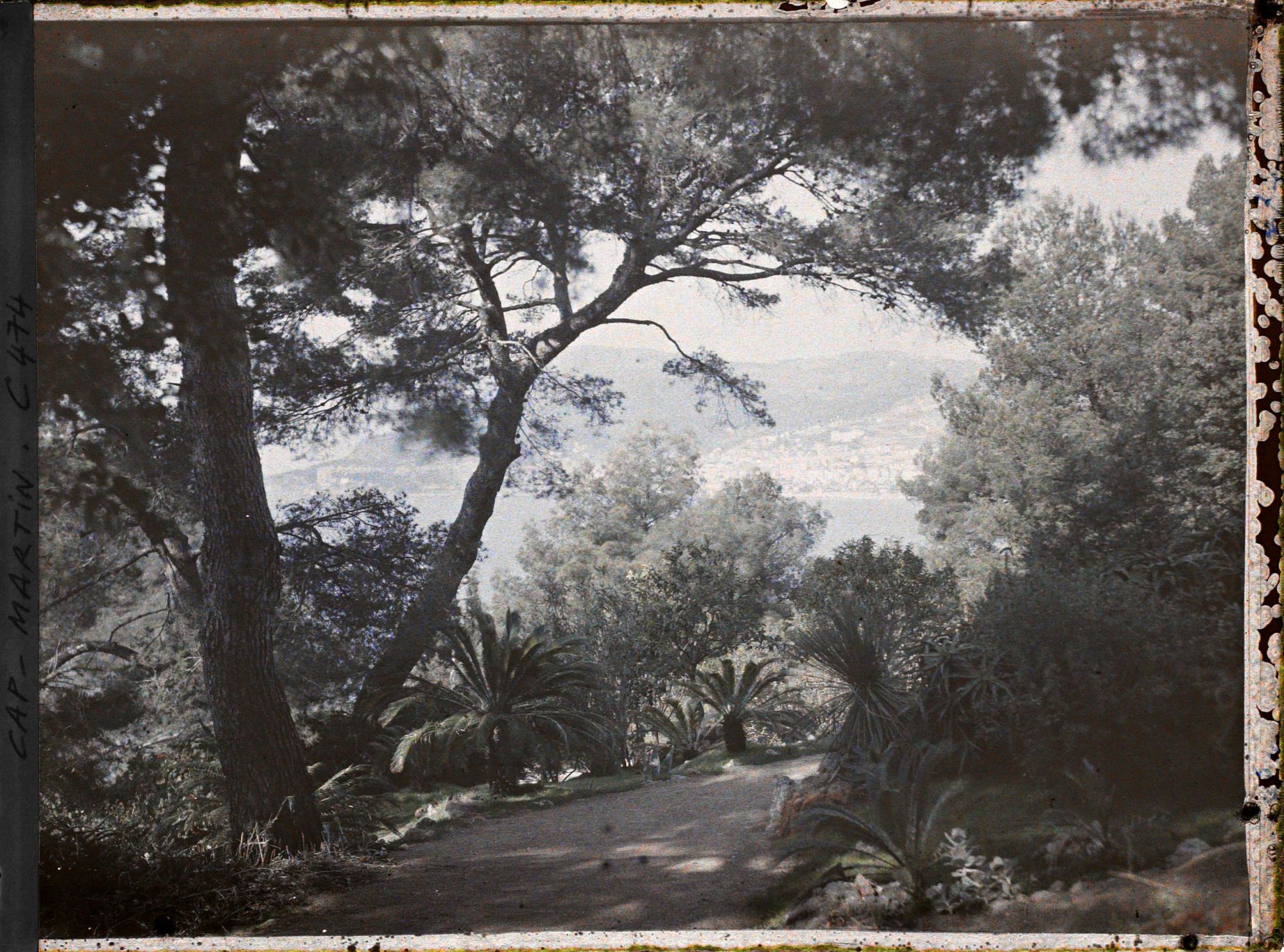 Image représentant Cap Martin Le Jardin