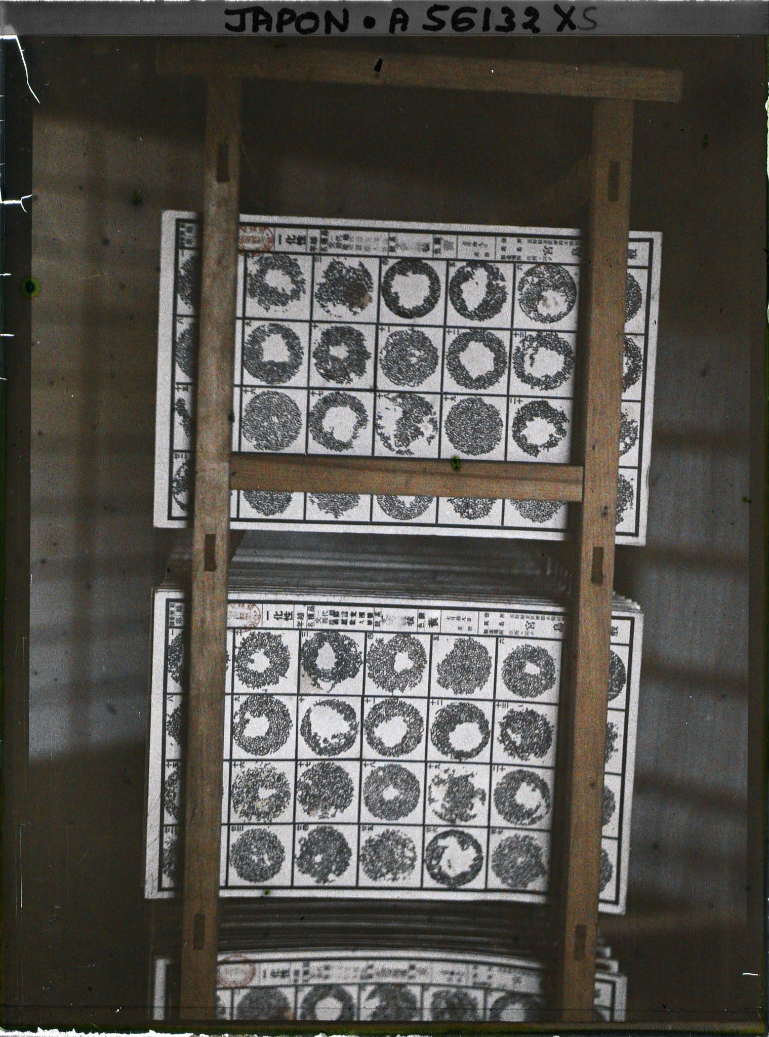 Image représentant Cartes d'œufs de papillons prêtes pour la vente