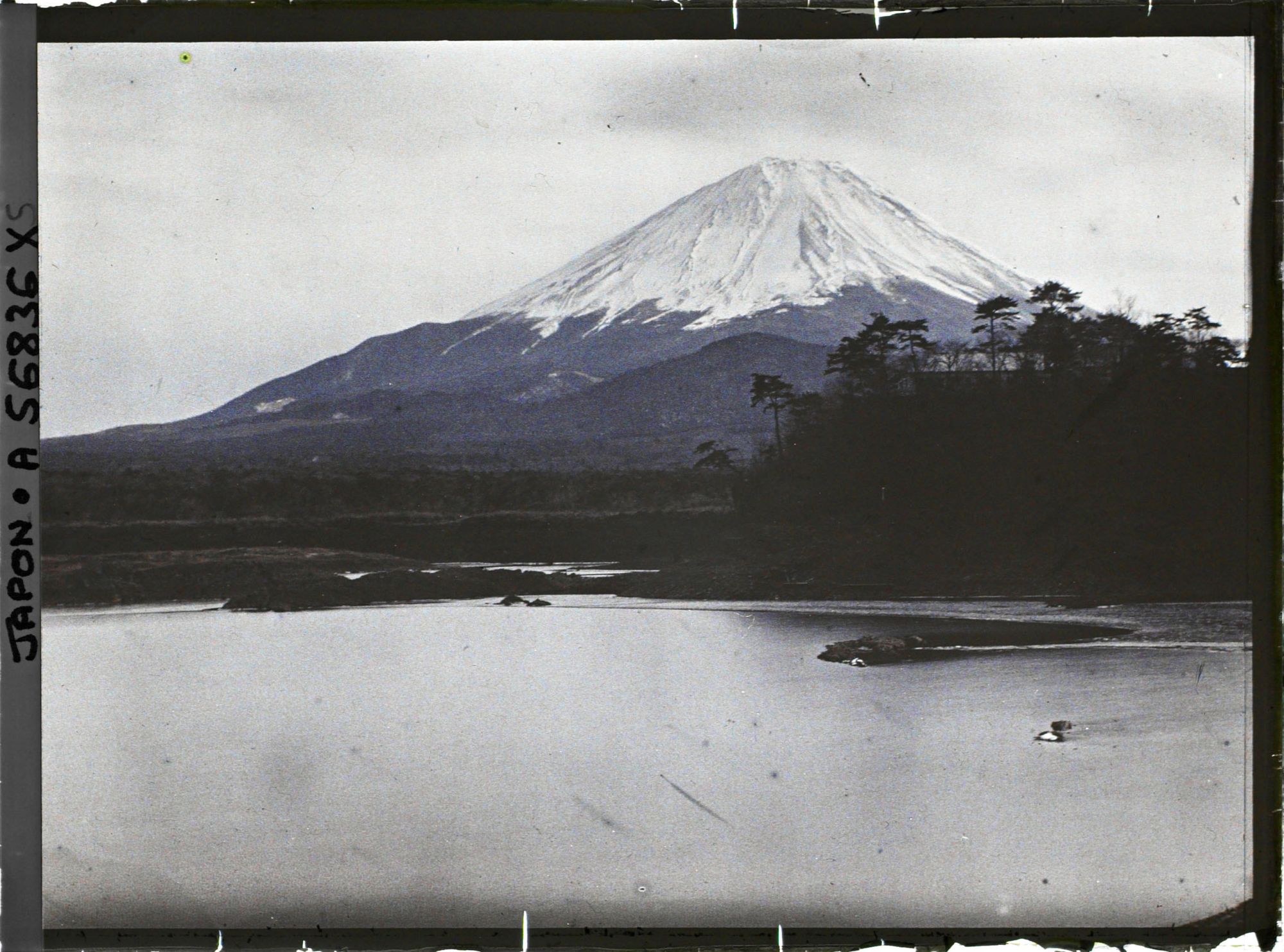 Image représentant Le Mont Fuji (Fuji-san) vu du lac Shôji (Shôji-ko)