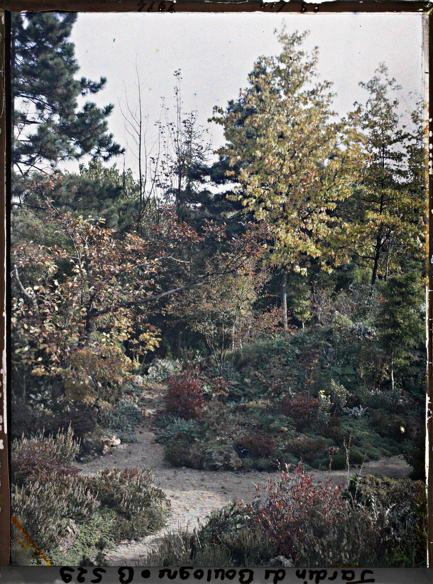 Image représentant Croisement de chemins et rocaille du " sanctuaire japonais " à l'automne, près du verger-roseraie
