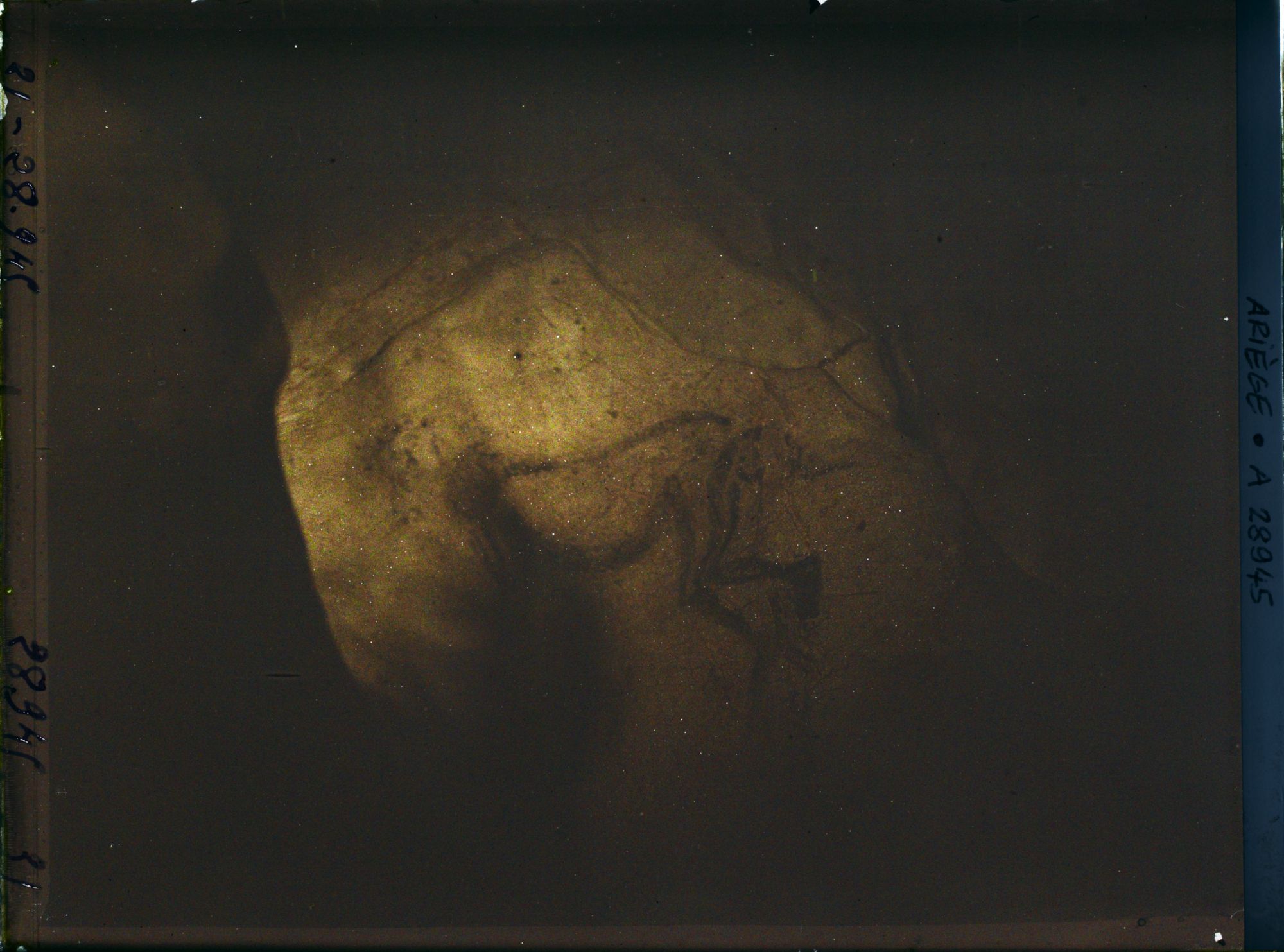 Image représentant La grotte des Trois-Frères : le sorcier