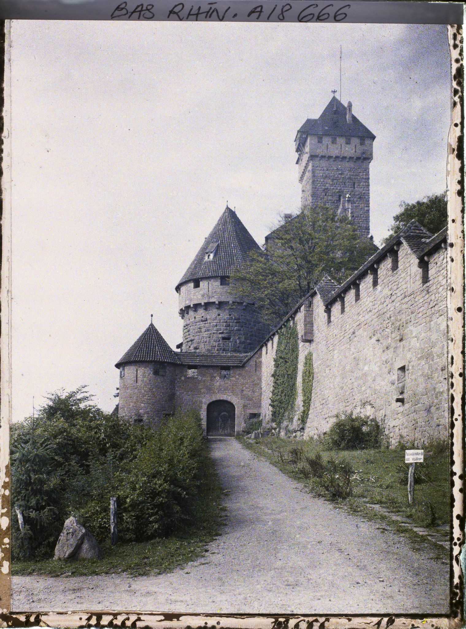 Image représentant Château de Haut-Koenigsbourg