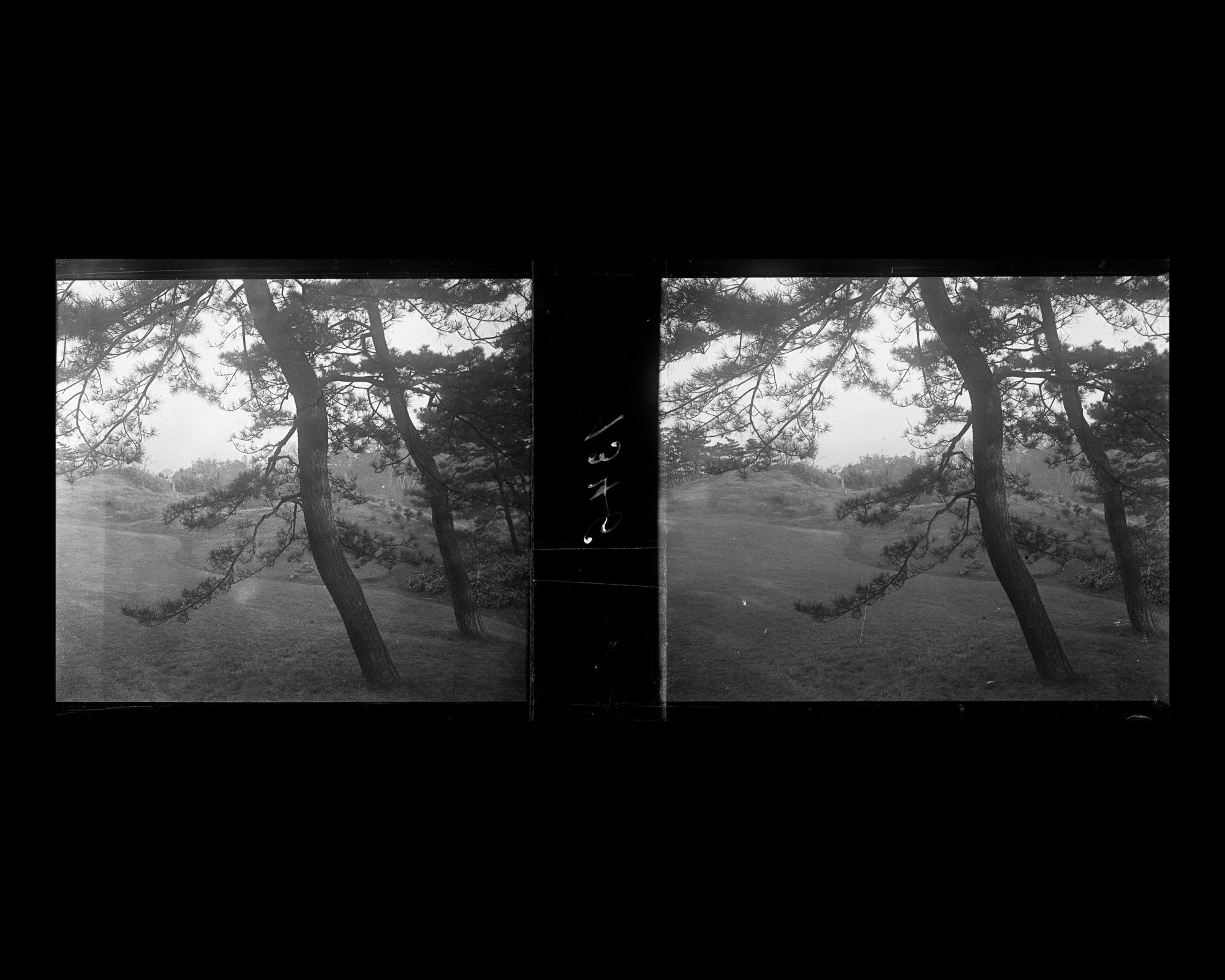 Image représentant Le jardin de la résidence de M. Matsuda