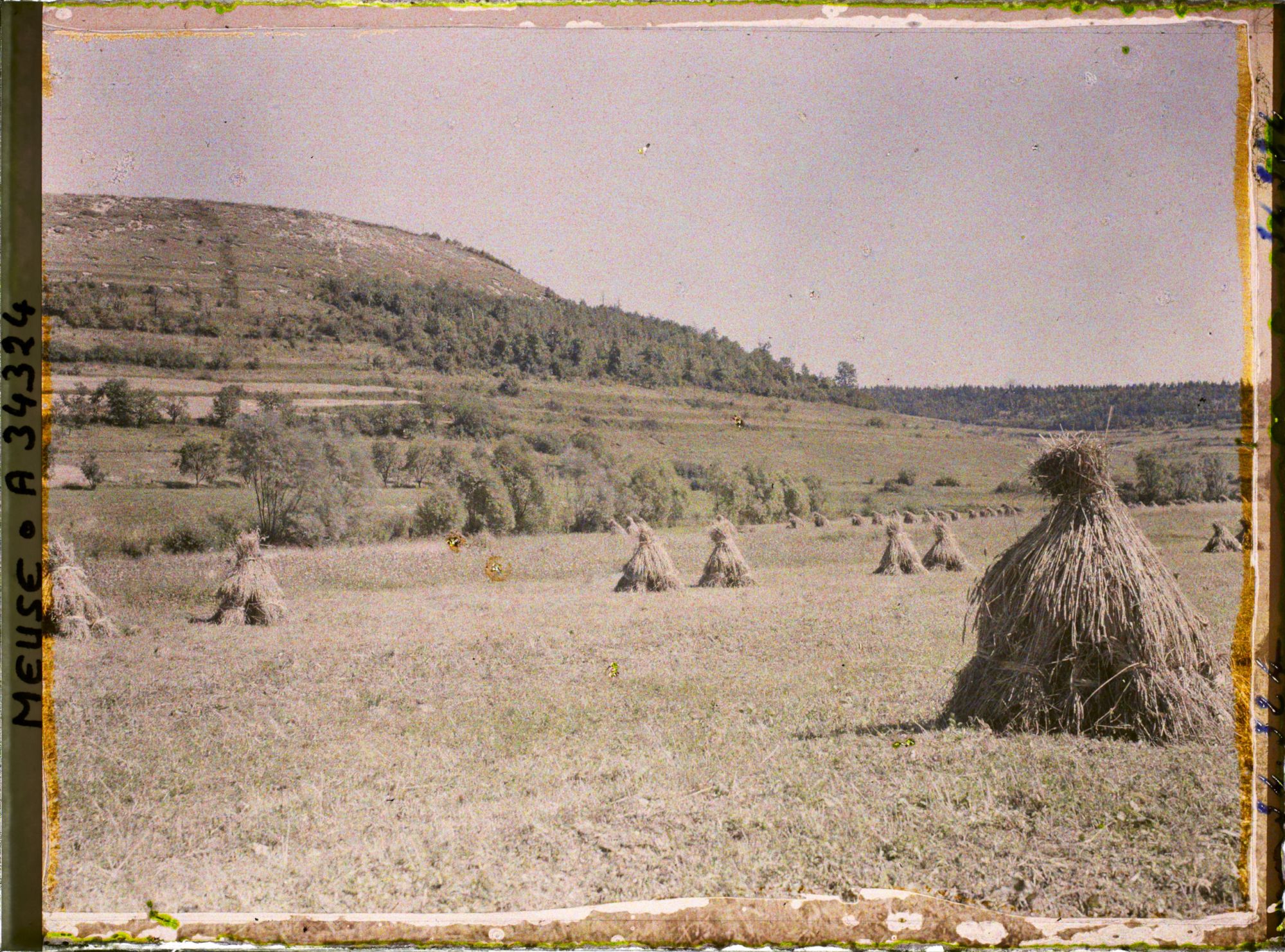 Image représentant France, Les Eparges, Crête des Eparges, façade sud Ouest, et moissons