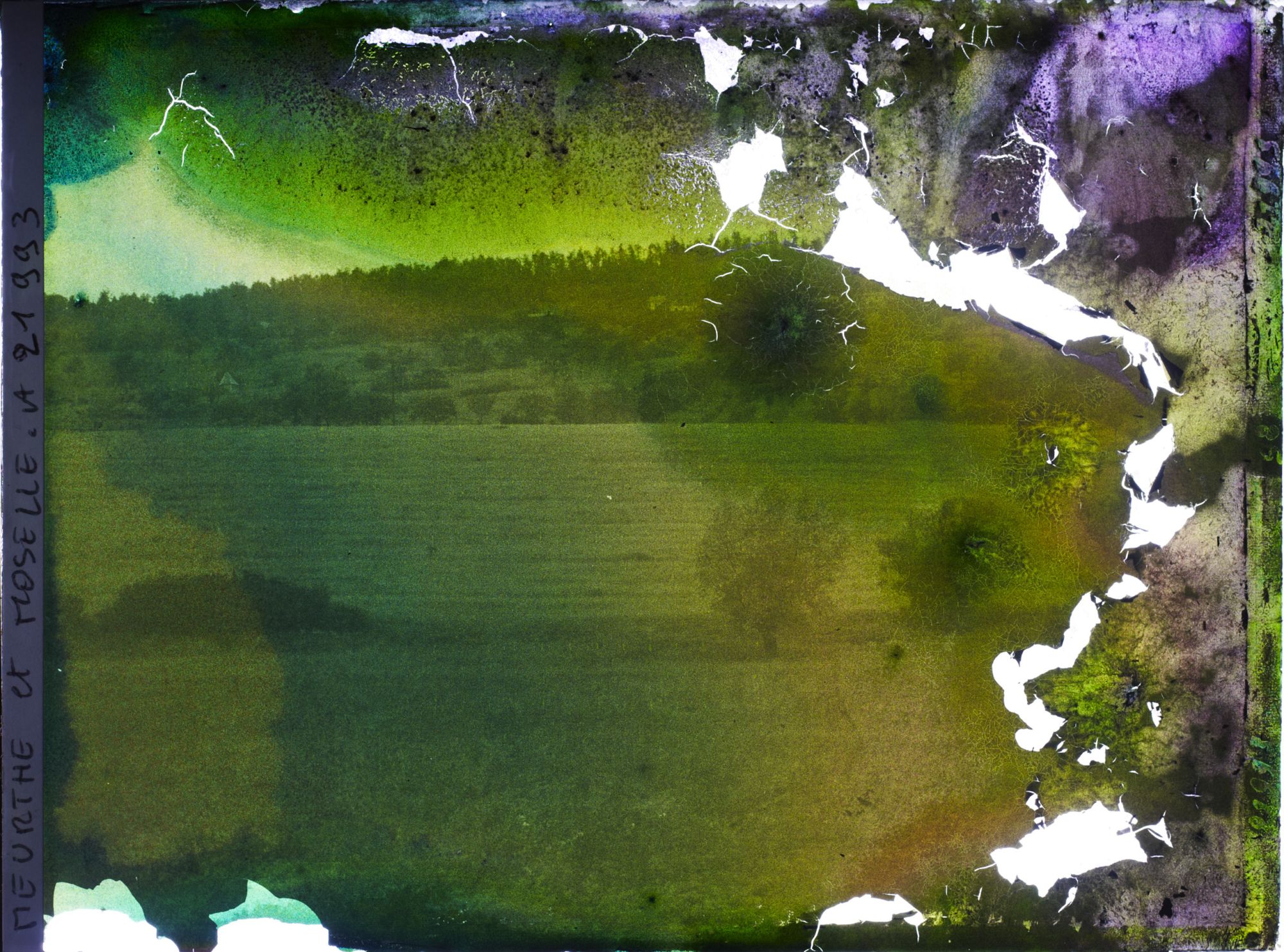 Image représentant France, Bois Le Prêtre, Prairies et Champs à la lisière du Bois le Prêtre