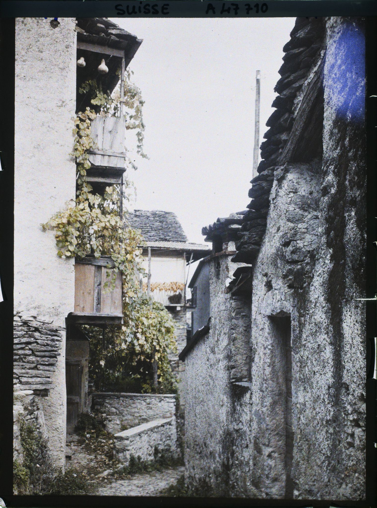 Image représentant Maisons typiques tessinoises