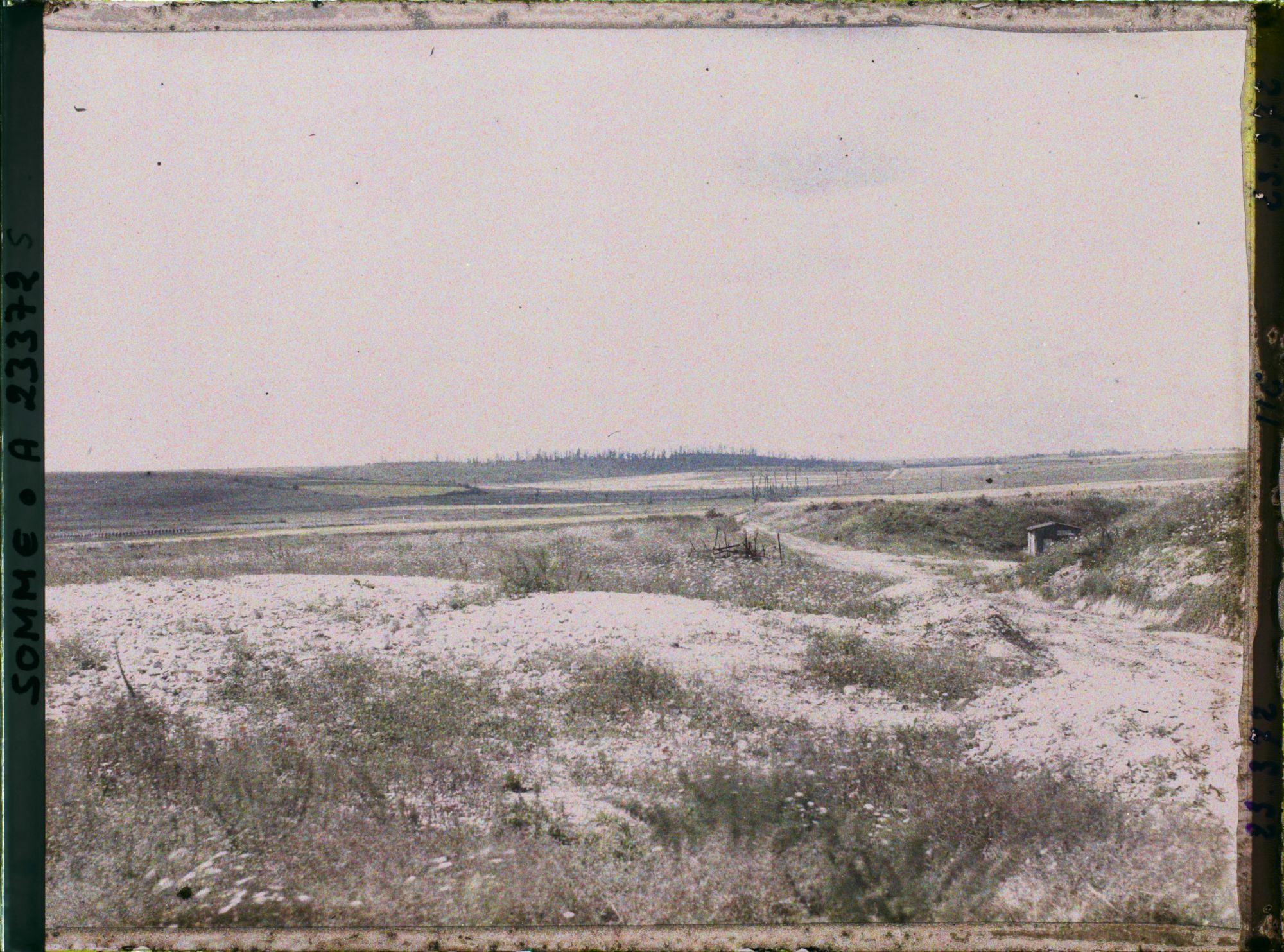 Image représentant France, Barleux, Vue vers le bois de Belloy en Santerre