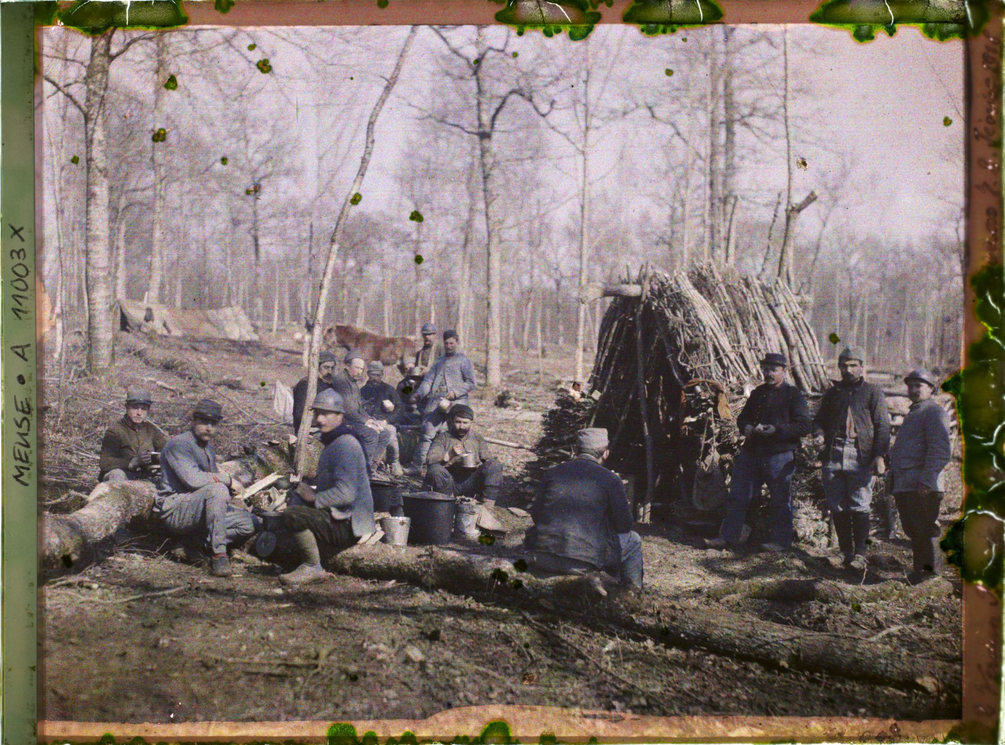 Image représentant France, près Verdun, Bois de Thieville