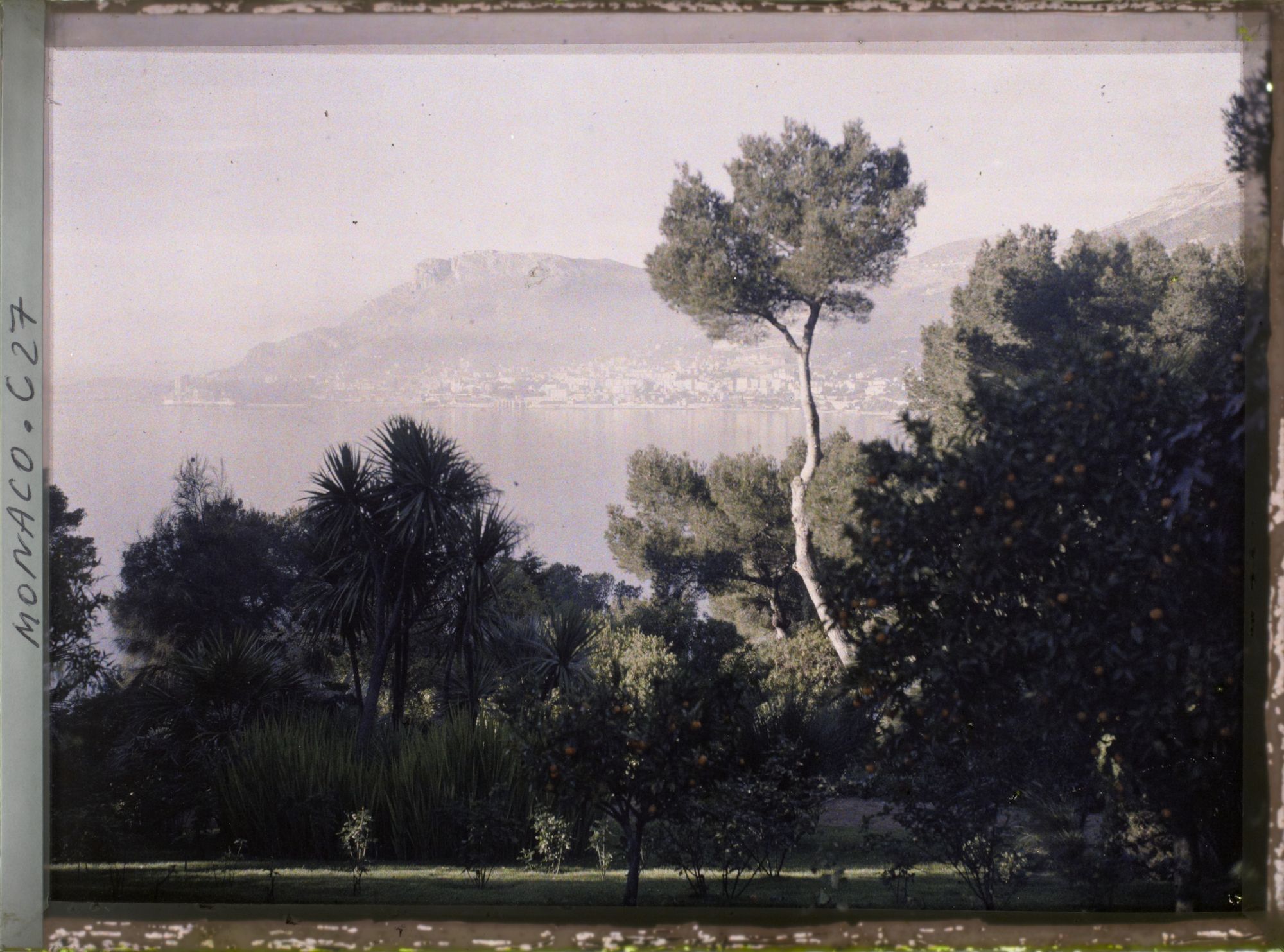 Image représentant Pointe de Monaco et Monte Carlo vue depuis un jardin du cap Martin