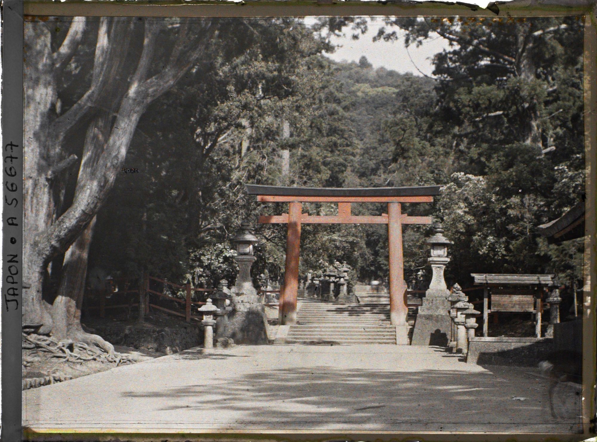 Image représentant Sanctuaire Kasuga-Jinja (ou Kasuga-Taisha), le deuxième torii (Ni-no-torii) et l'allée des lanternes