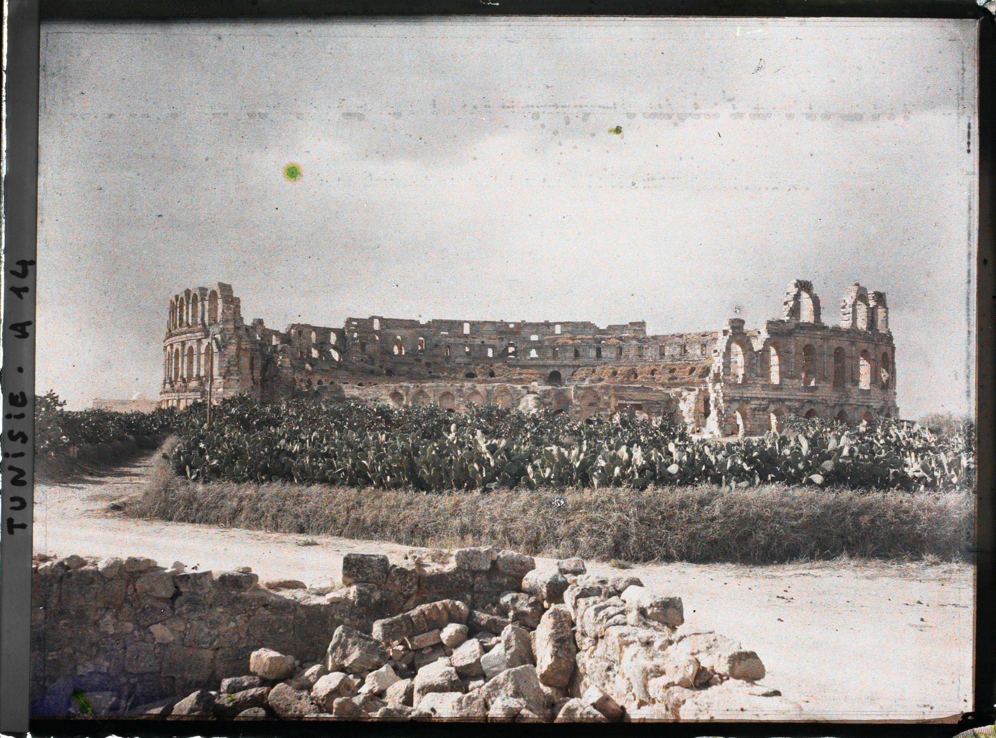 Image représentant L'amphithéâtre romain de la cité antique de Thysdrus