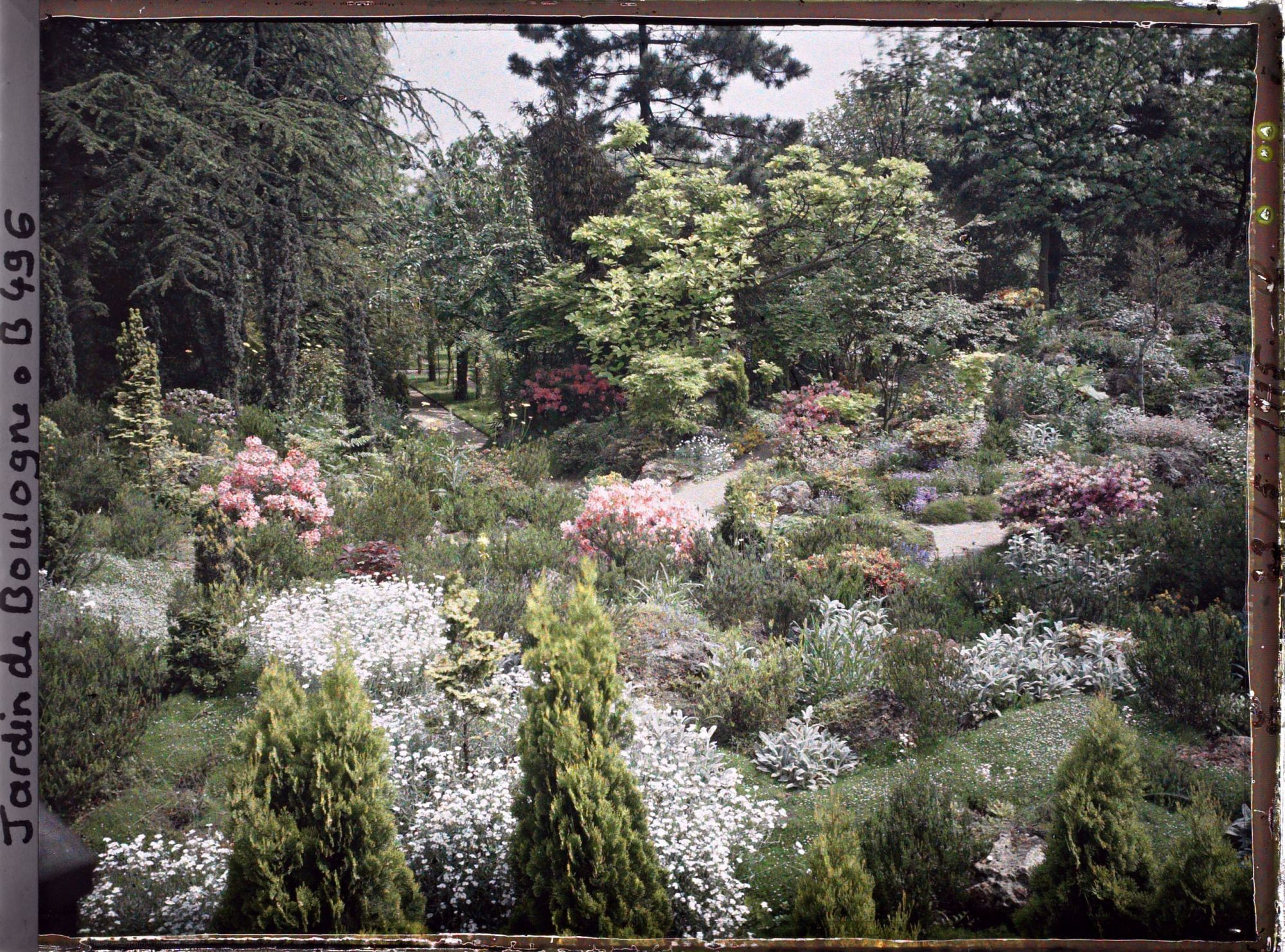 Image représentant Rocaille fleurie du " sanctuaire japonais " proche du sôrintô et chemin d'accès au verger-roseraie