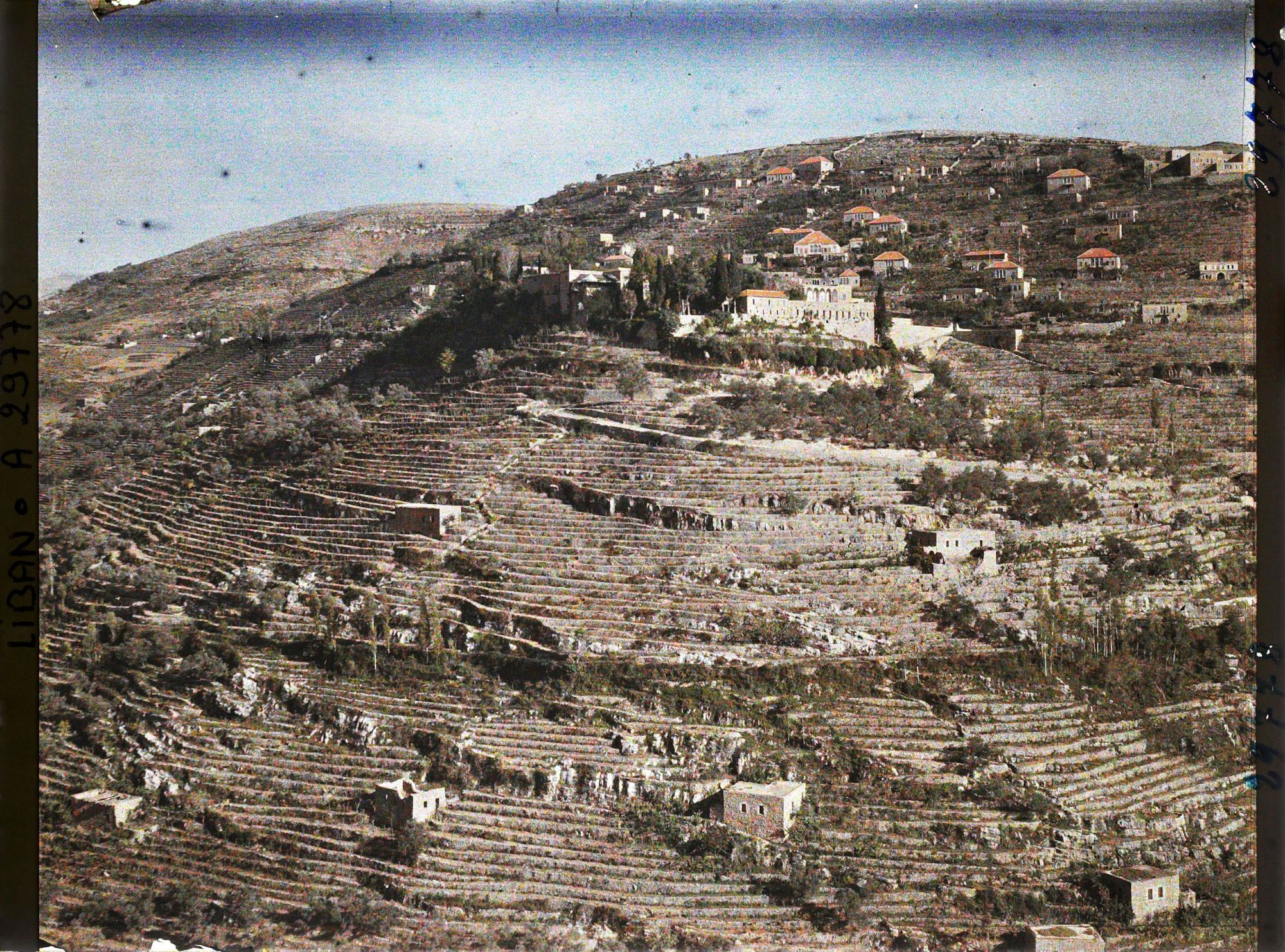 Image représentant Panorama vers Beit ed-Dine avec ses cultures en terrasses