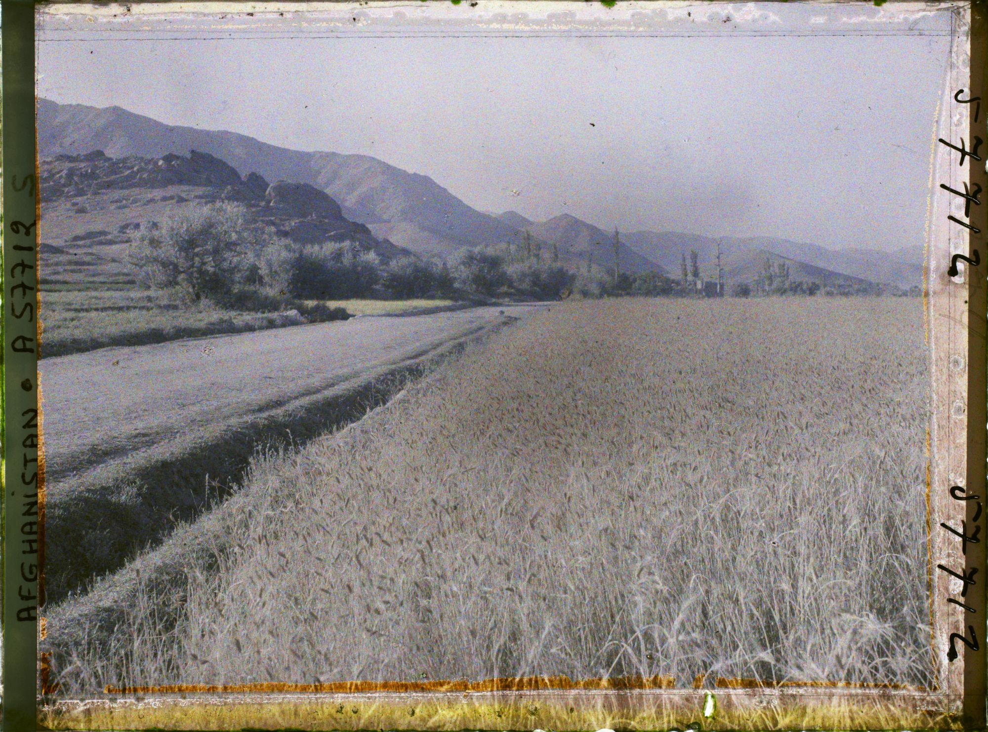 Image représentant Afghanistan, Meidan, Paysage et Champ de blé