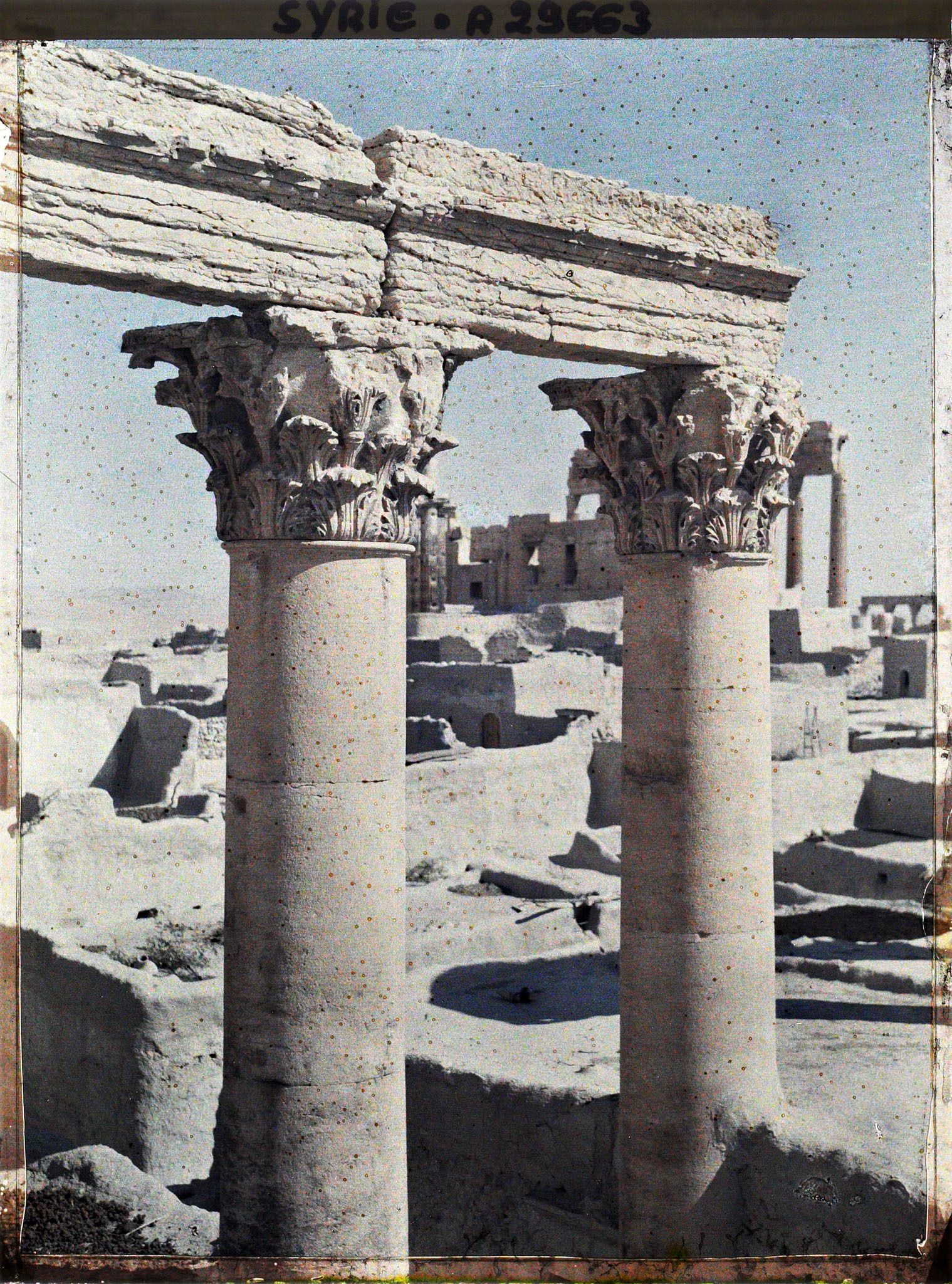 Image représentant Deux colonnes corinthiennes du Temple de Bêl