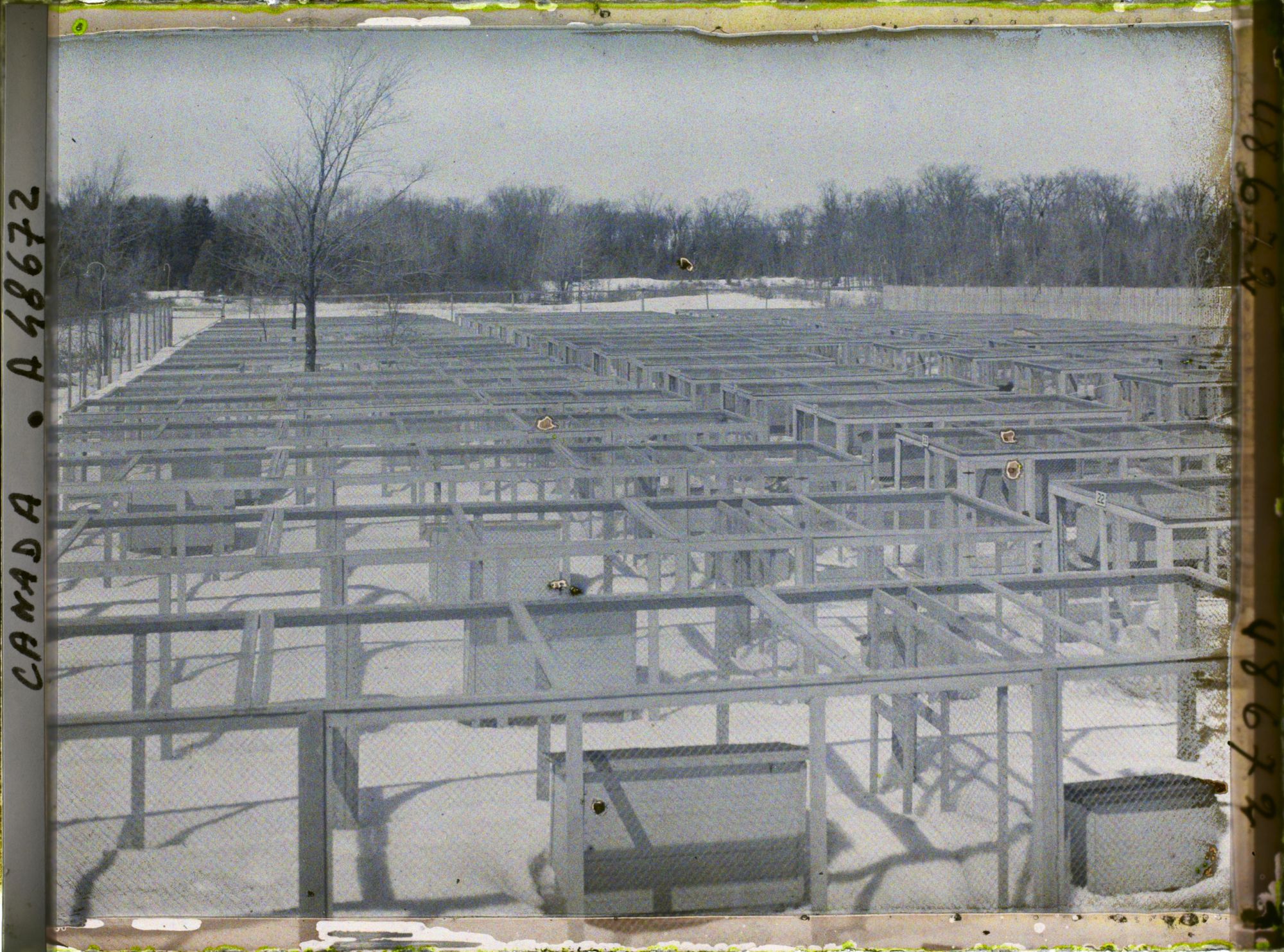 Image représentant Canada, Laval Des Rapides, Ferme de Renards argentés
