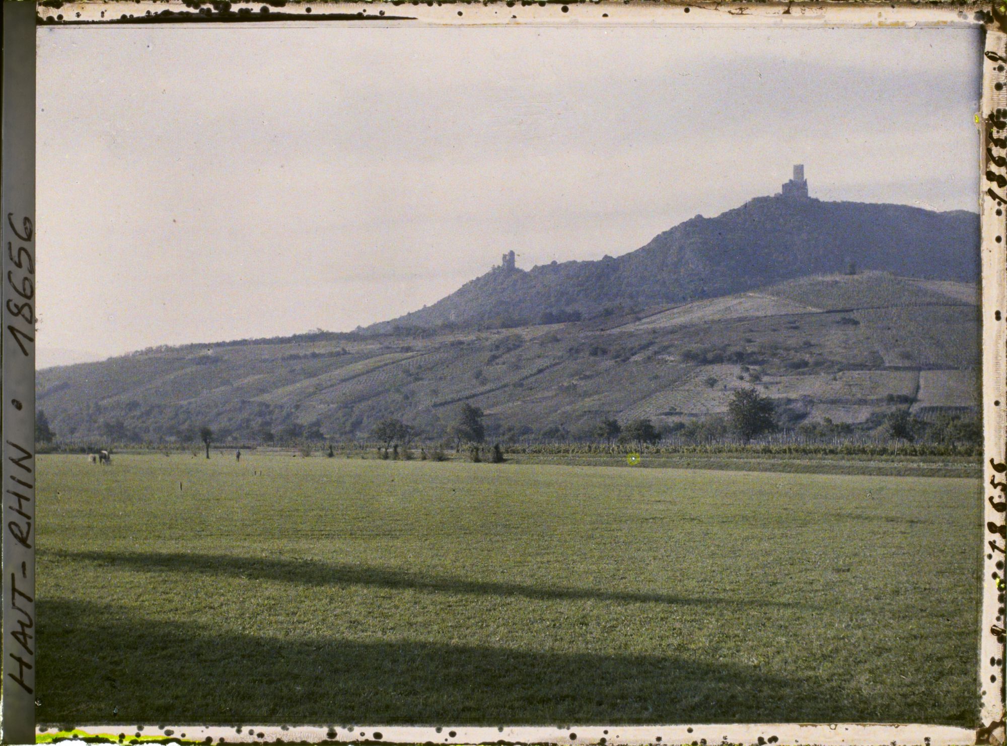 Image représentant France, Environs Schlestadt, Les deux châteaux vus de près avec une prairie au 1er plan, terre irriguée près des vignes de plaine, puis les choux plantés ds des vignobles.