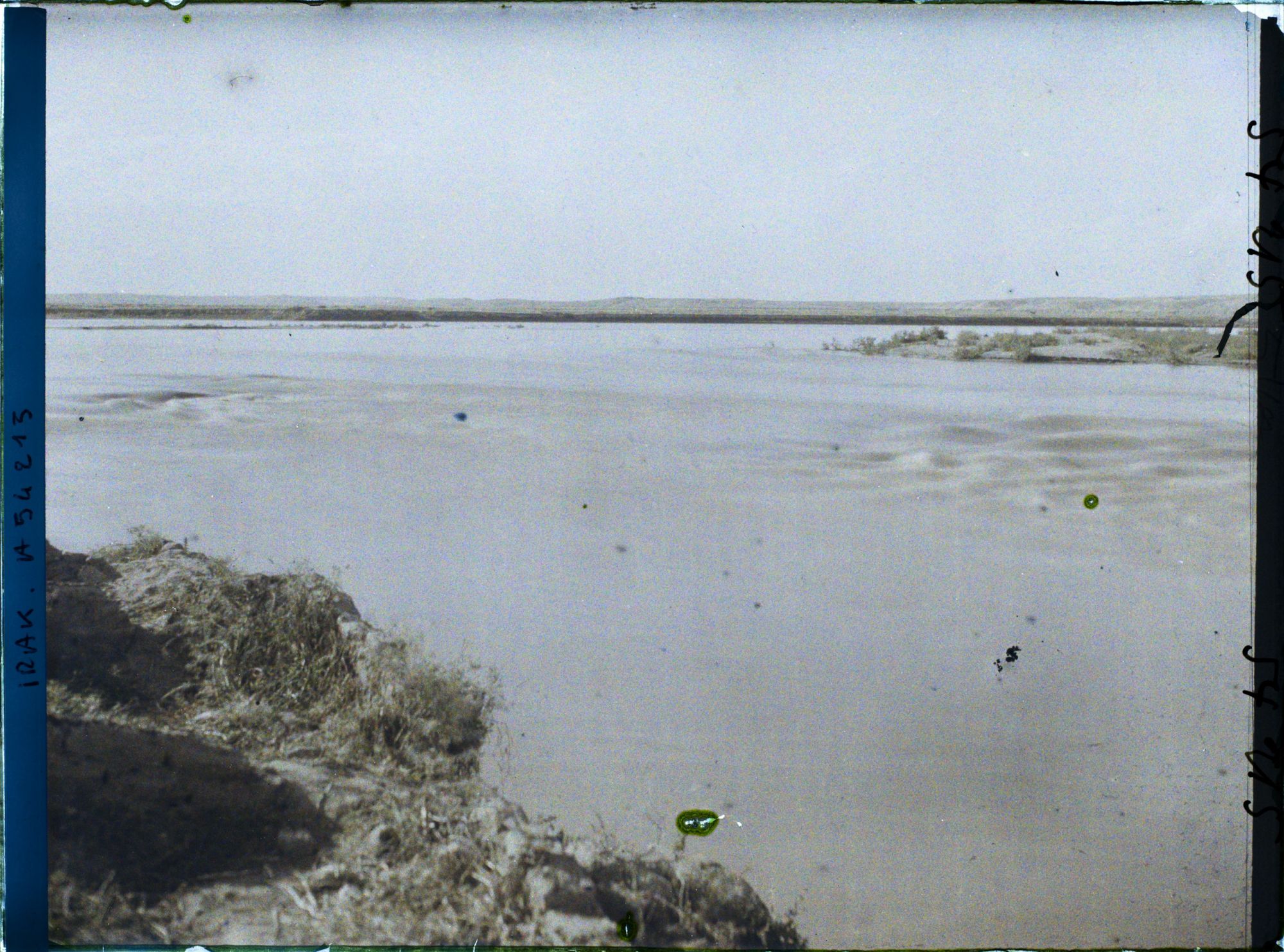 Image représentant Le Tigre