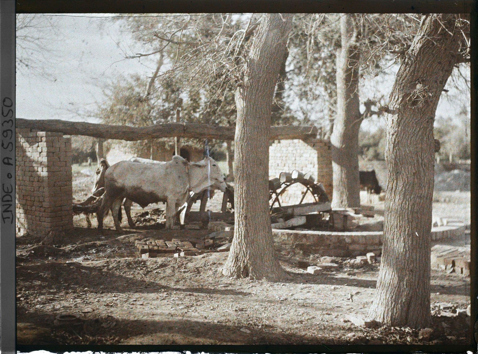 Image représentant Un manège pour la fabrication d'enduit servant à la construction des édifices