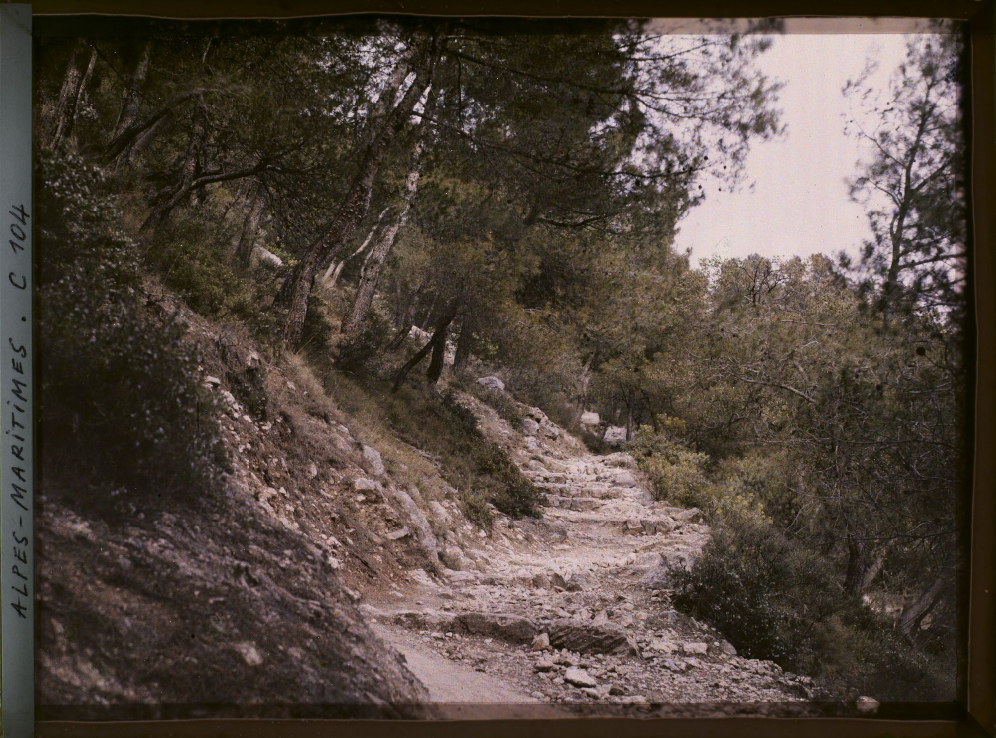 Image représentant Un chemin rocailleux dans la colline