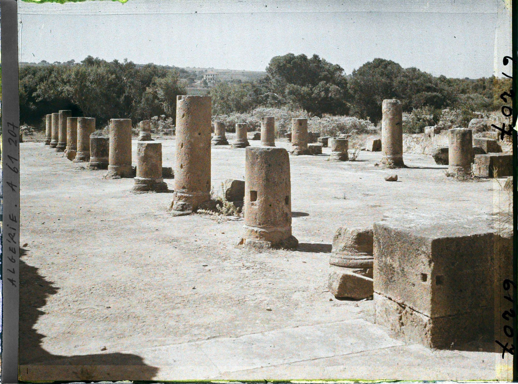 Image représentant La basilique judiciaire