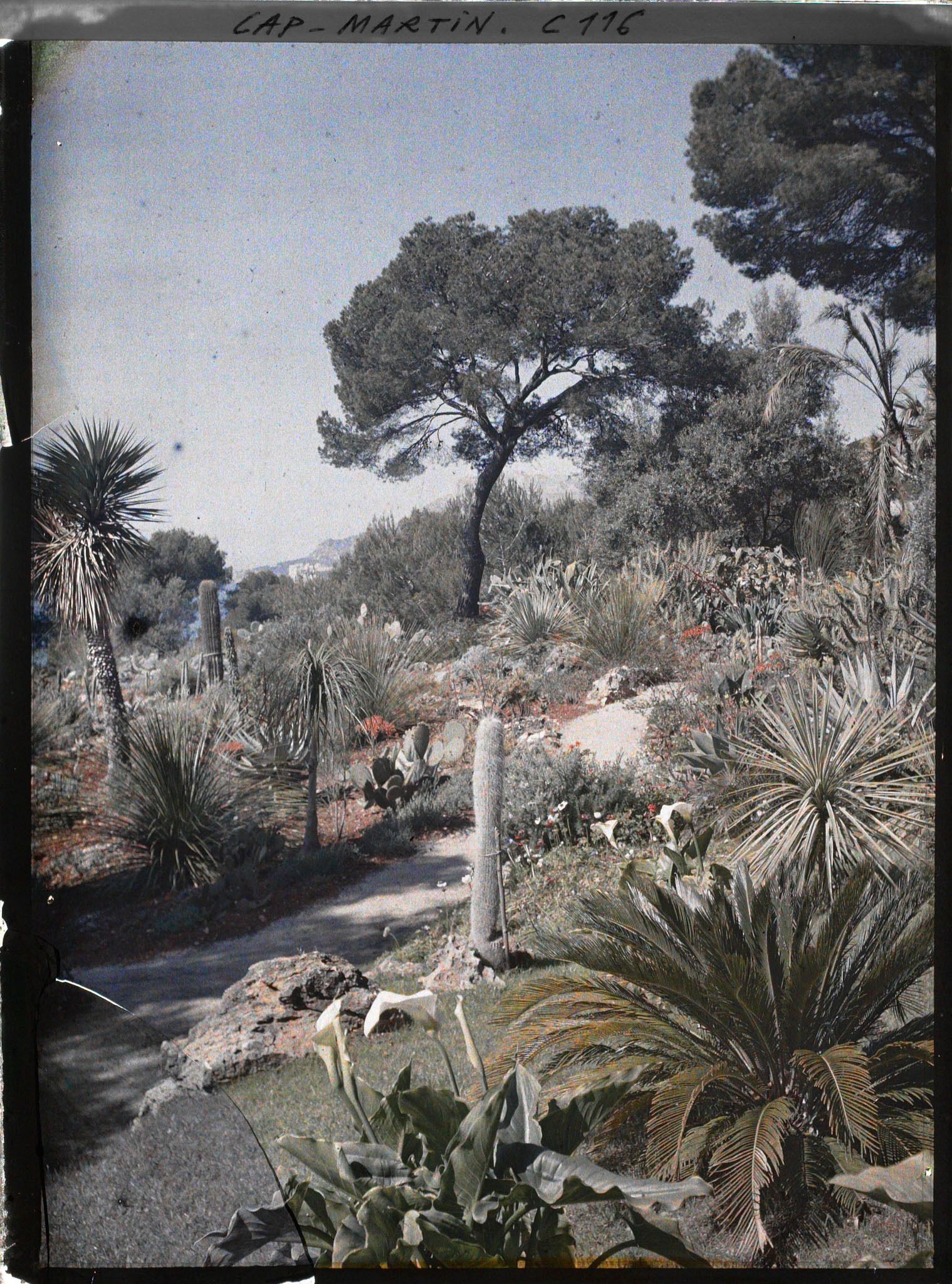 Image représentant Le jardin