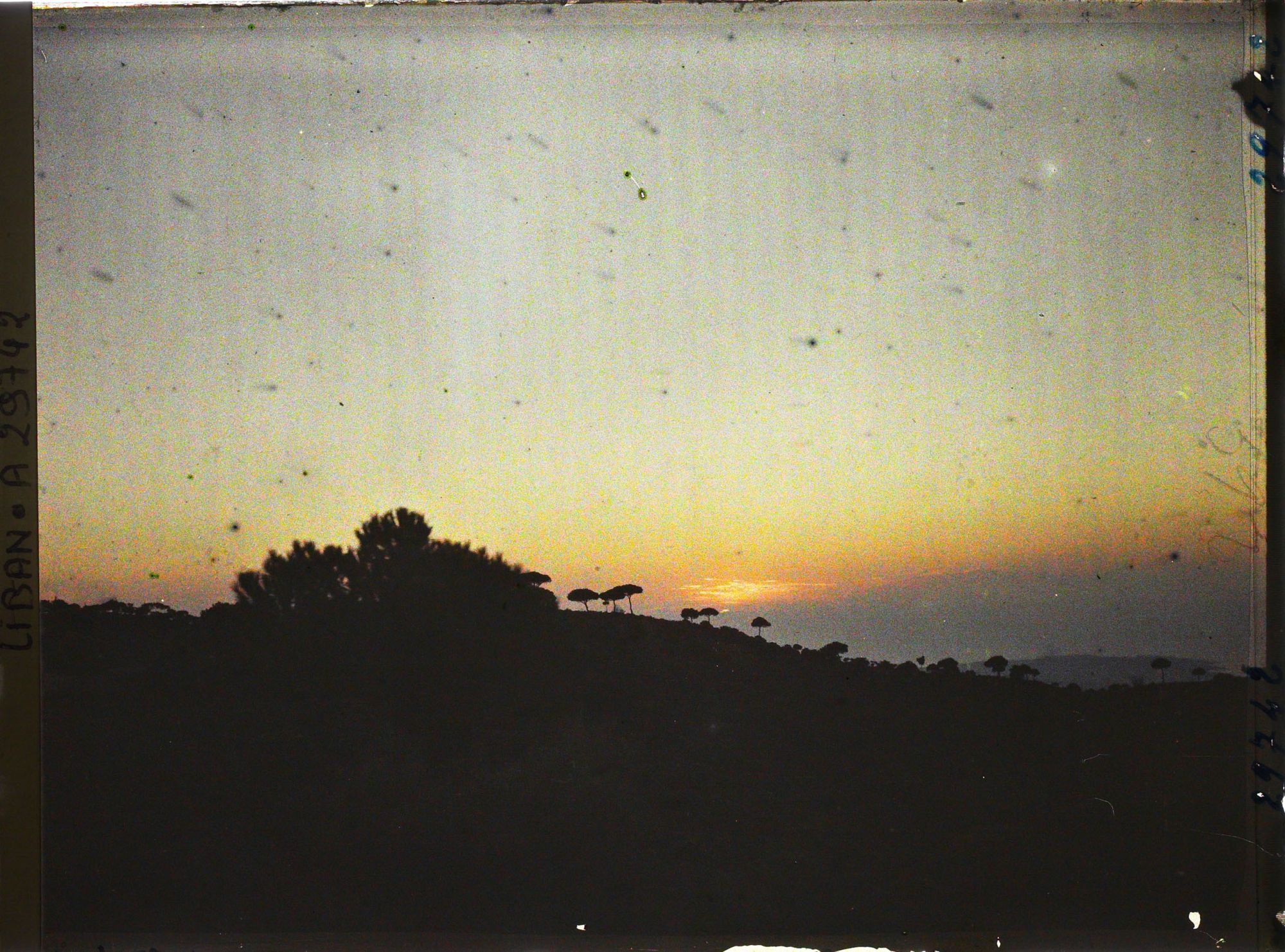 Image représentant Coucher de soleil