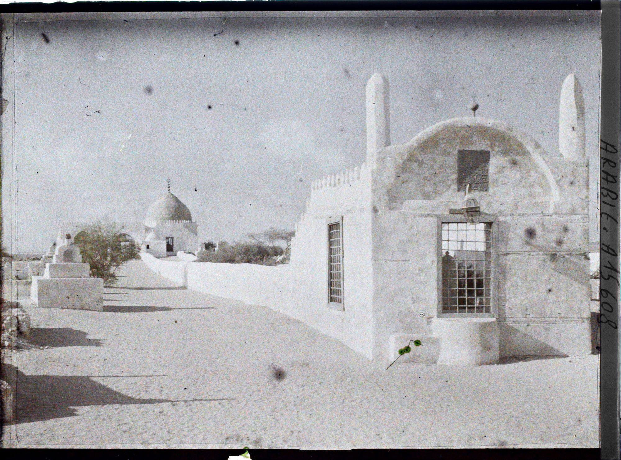 Image représentant Vue du cimetière, au fond le tombeau d'Eve