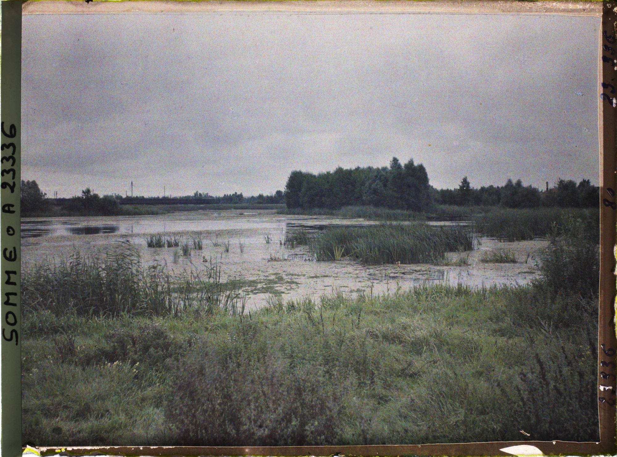 Image représentant France, Péronne, Les Marais de la Somme au Sud-Est de Péronne