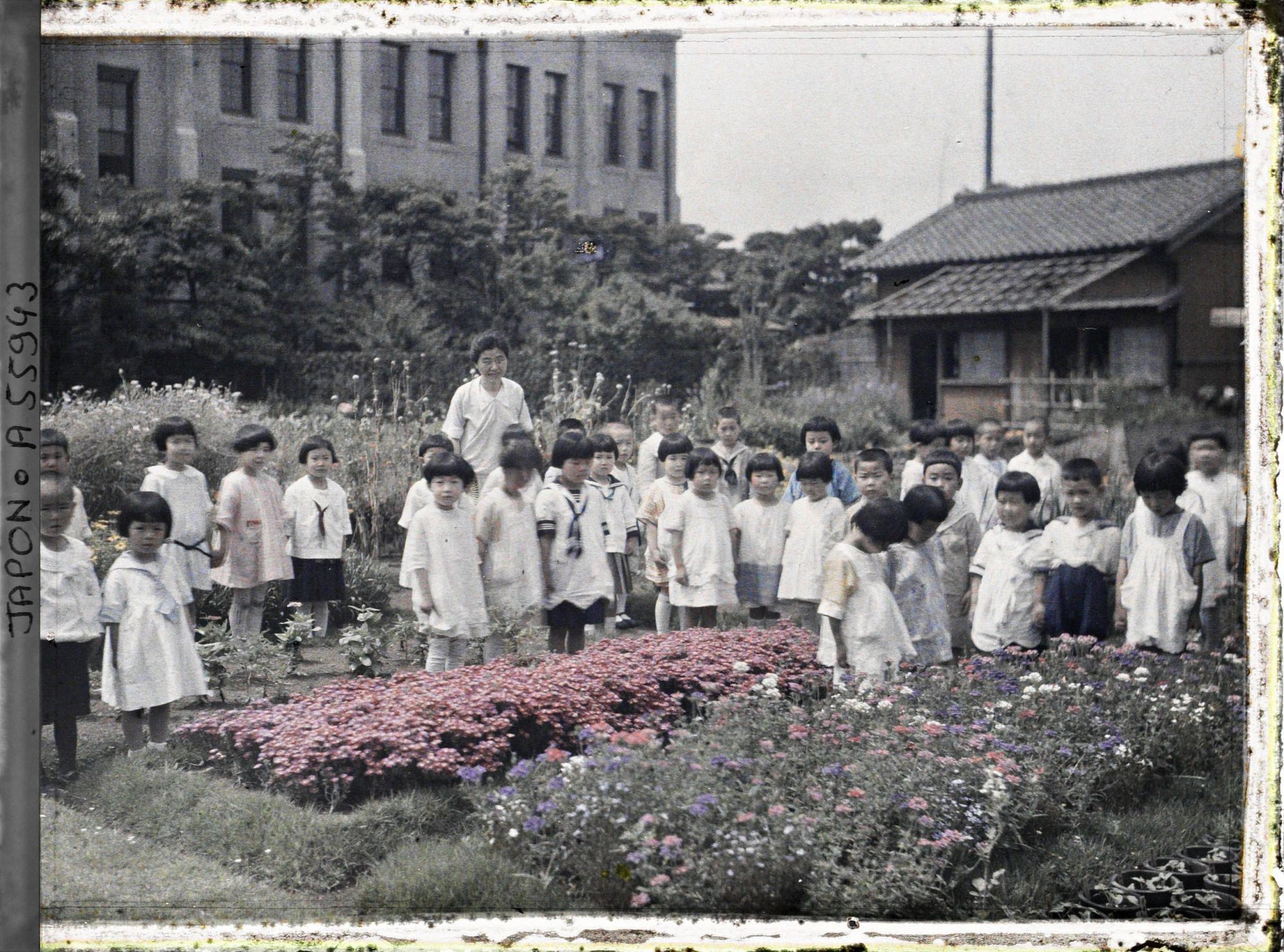 Image représentant Ecole d'Aoyama, jeunes écoliers vêtus à l'occidentale, près d'un massif de fleurs