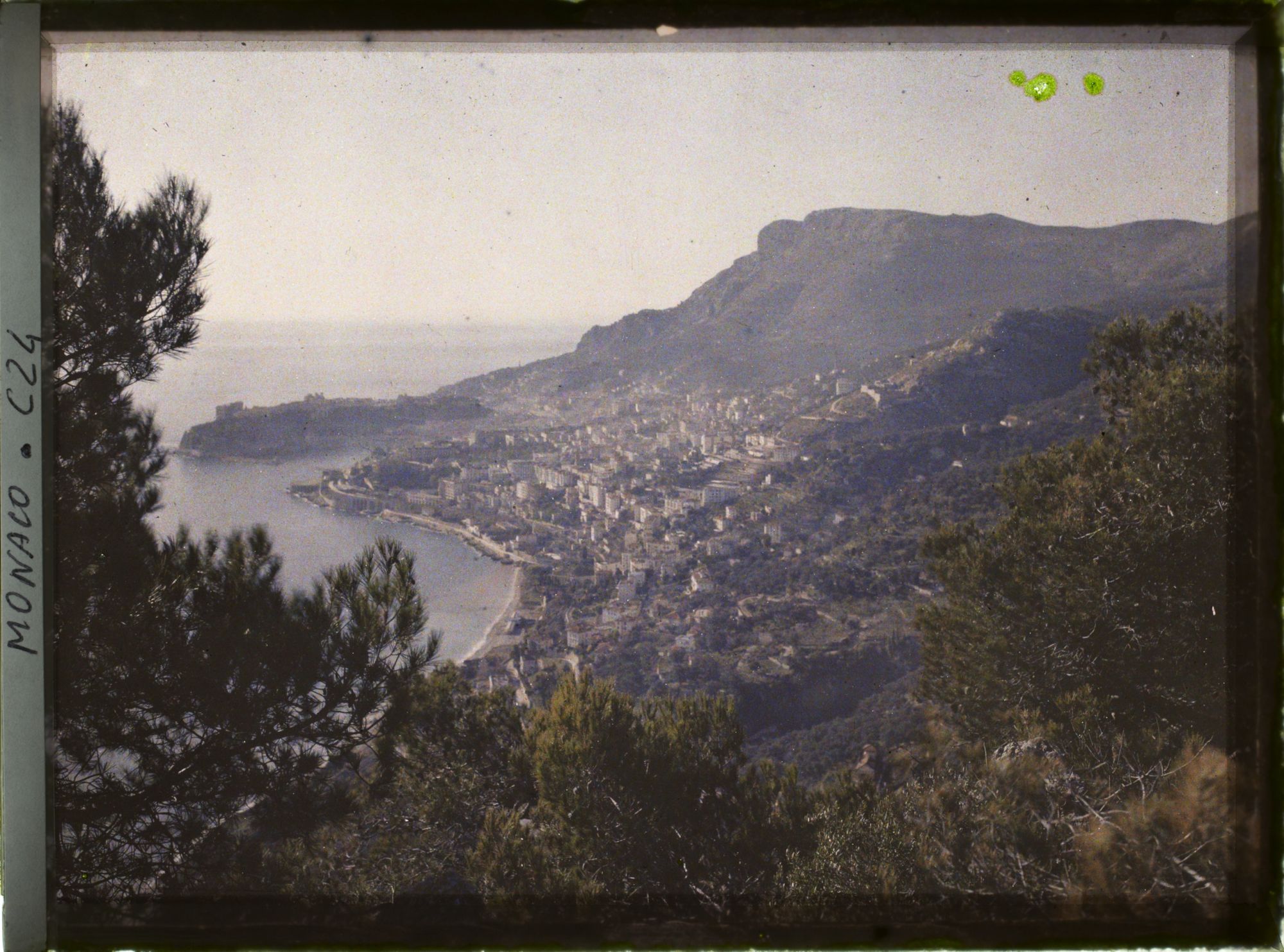 Image représentant Vue panoramique à travers des pins, surplombant la Principauté de Monaco