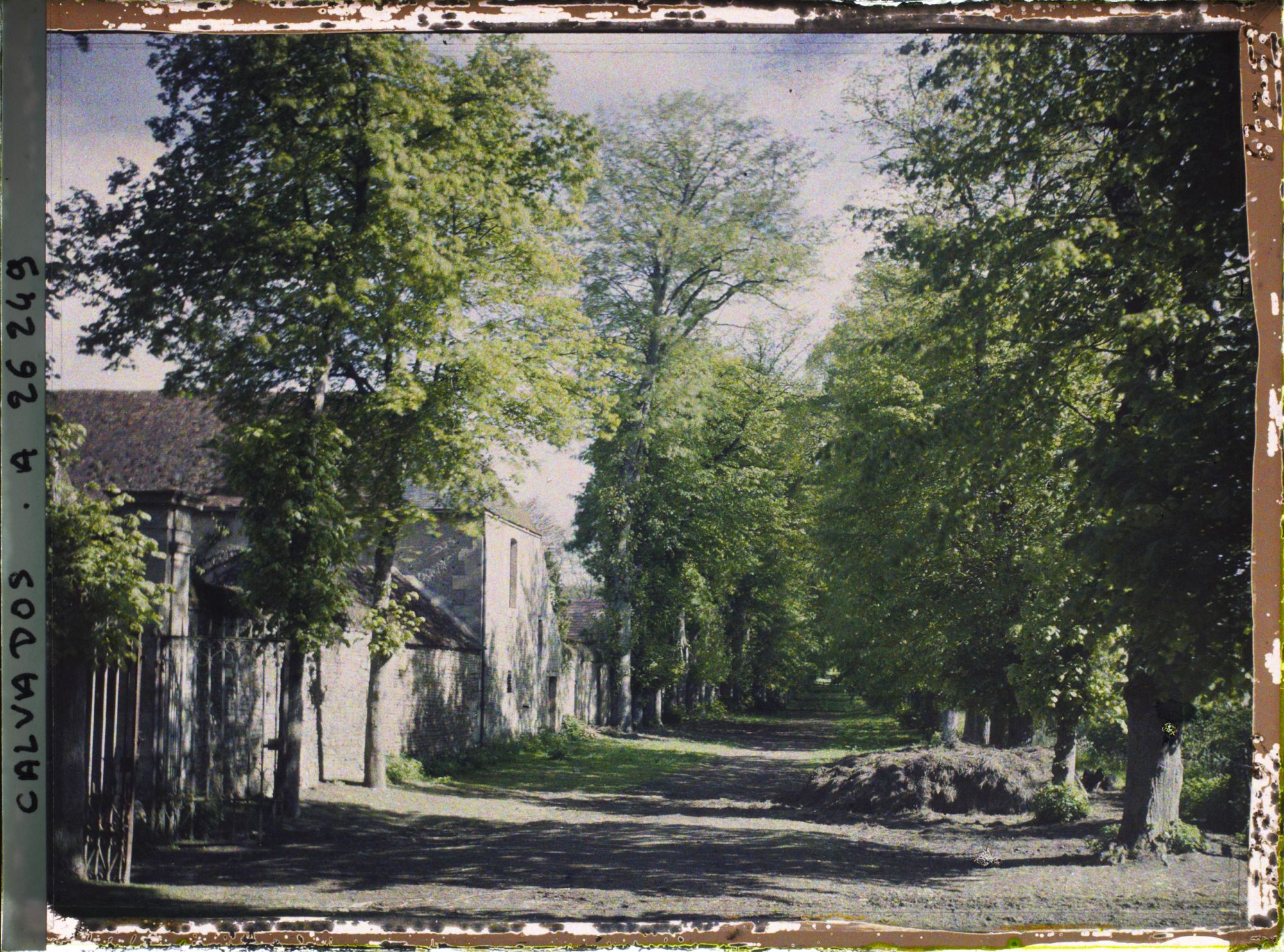 Image représentant Chemin près de la ferme de " Canon "
