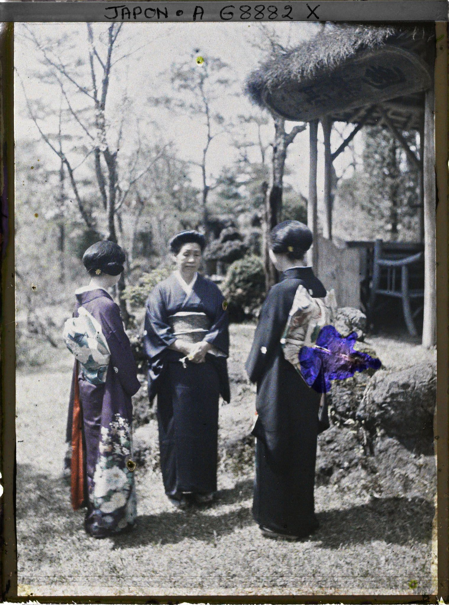 Image représentant Trois femmes en kimono dans un jardin