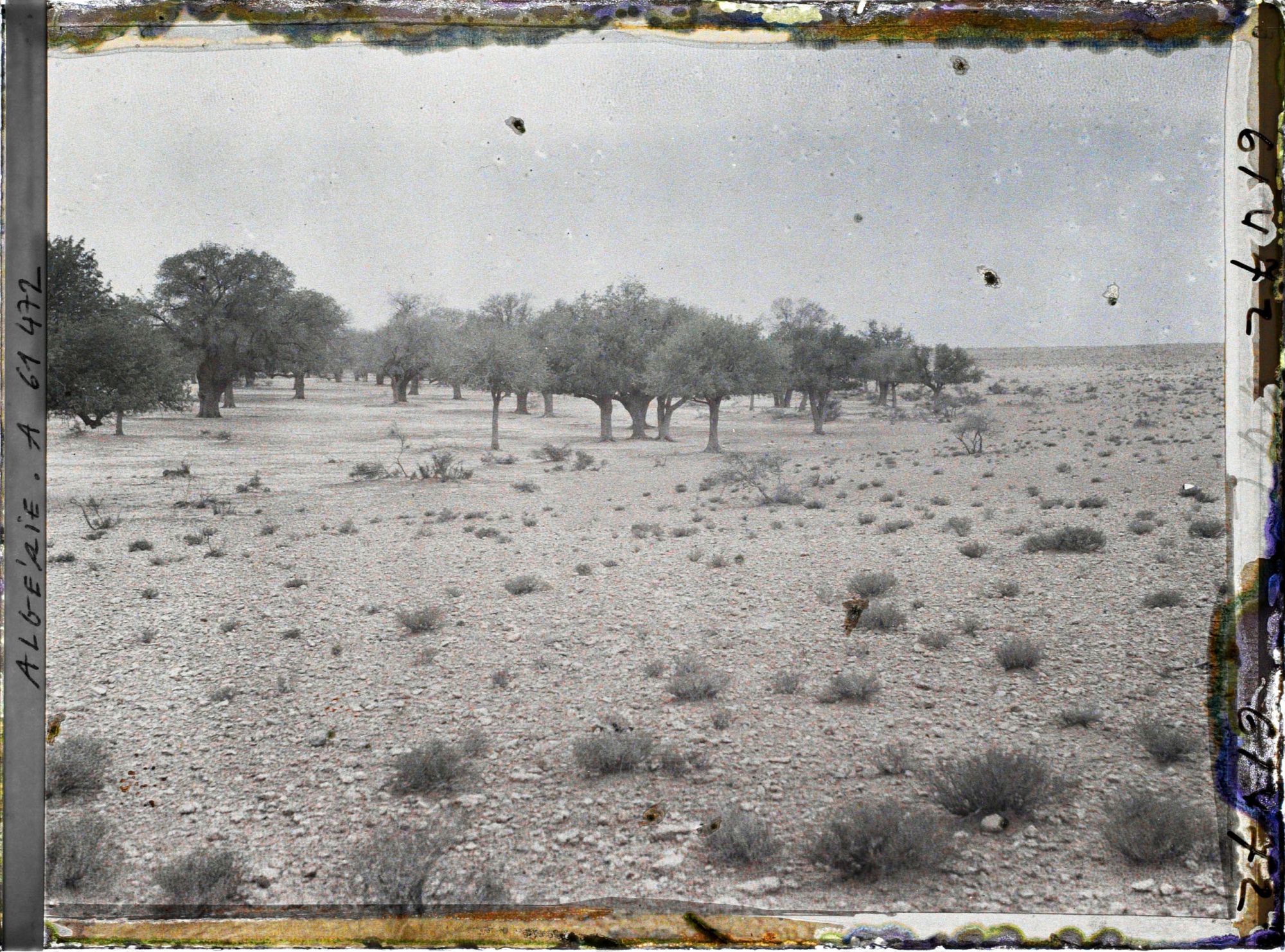 Image représentant La dépression du sol formant la daya