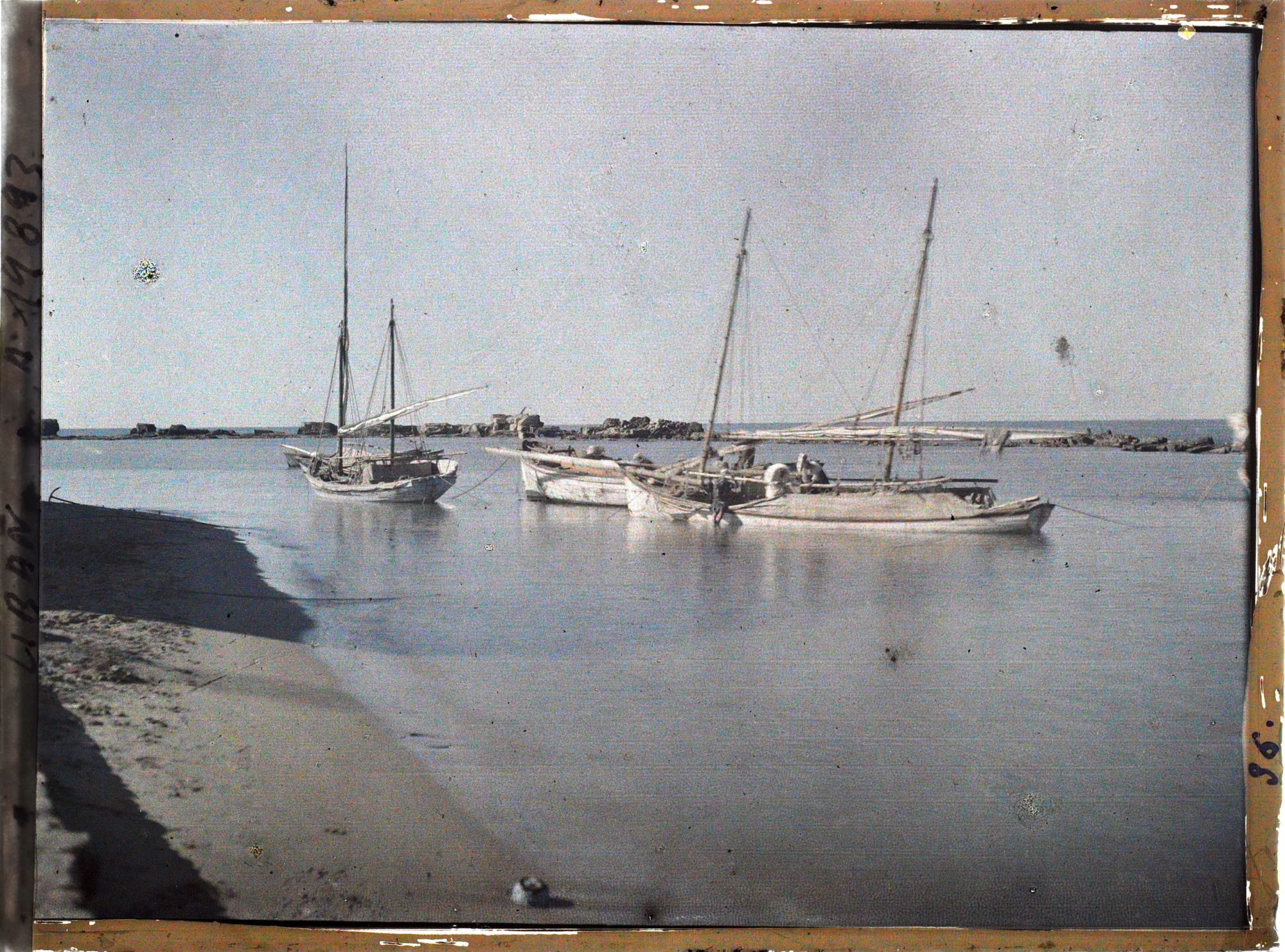 Image représentant Bateaux de pêche en rade