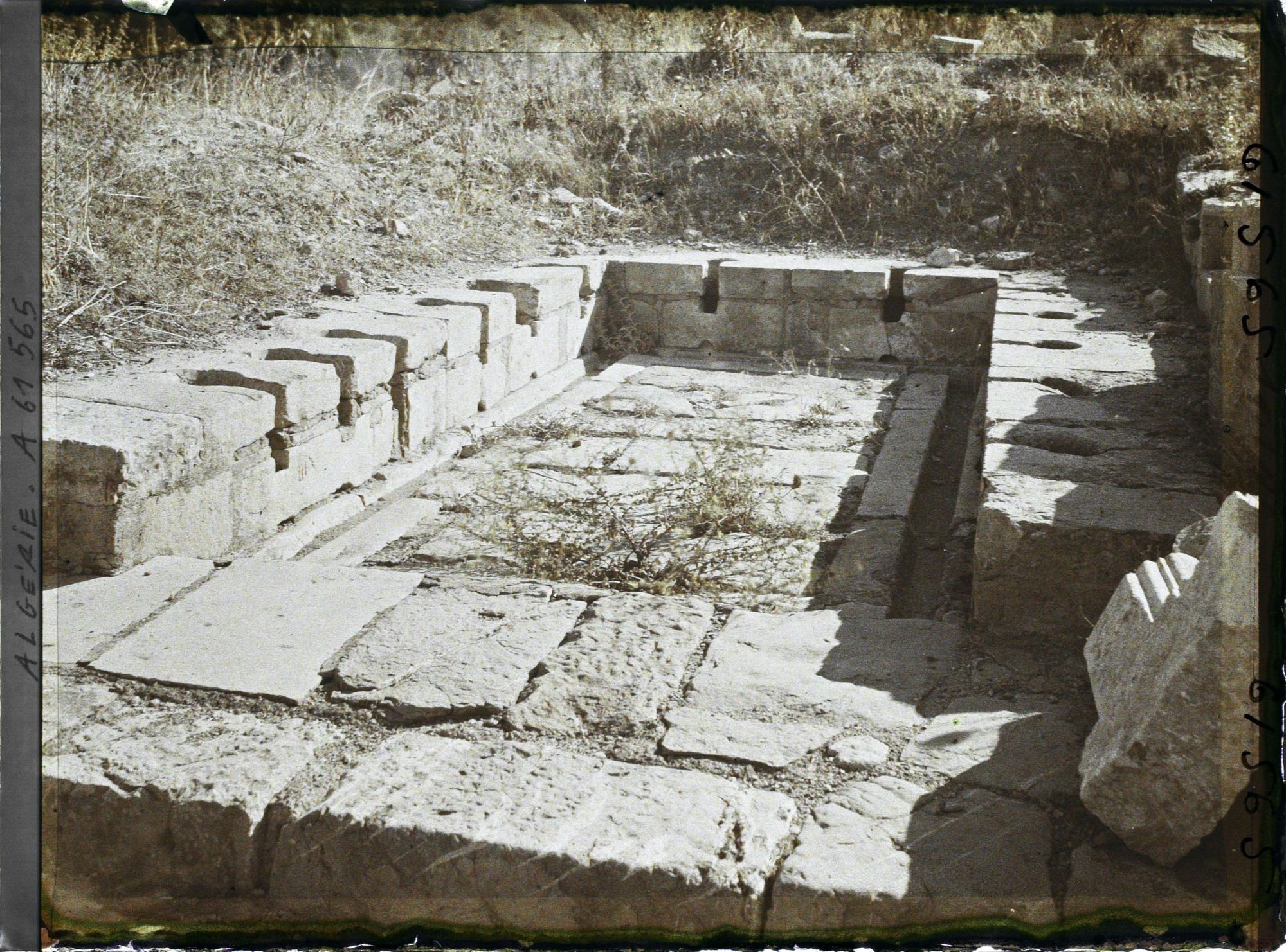 Image représentant Latrines publiques, place des Sévères (nouveau forum), vestiges de la cité antique Cuicul