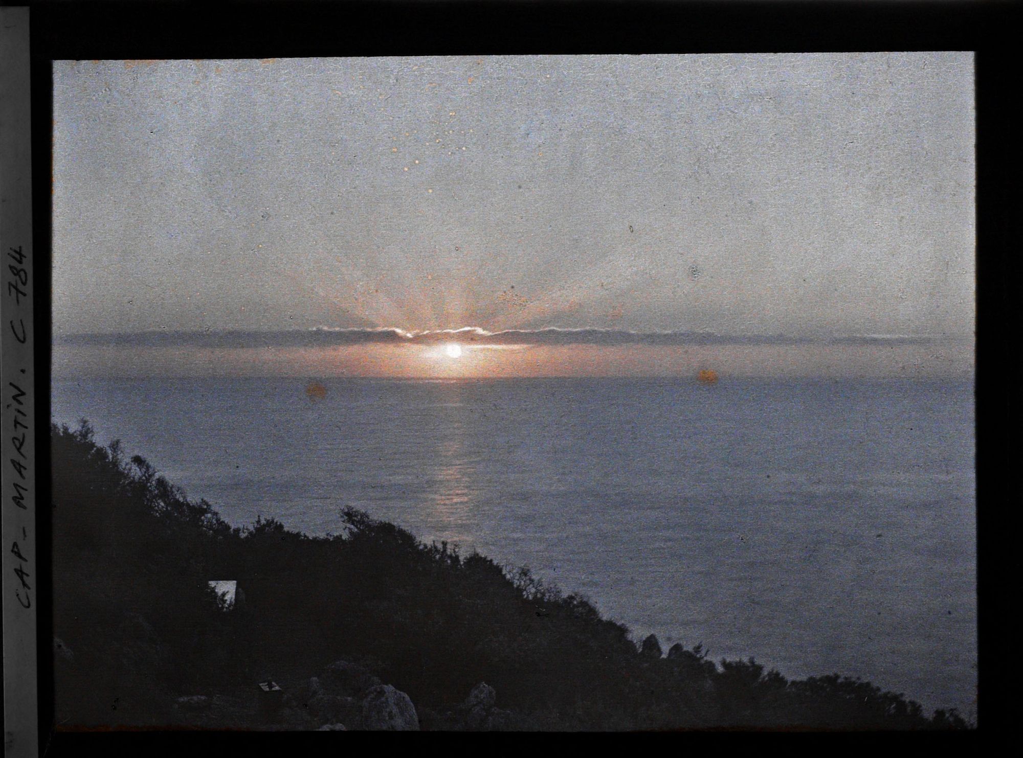 Image représentant Végétation se découpant en ombre chinoise sur la mer, lors d'un lever de soleil au cap Martin
